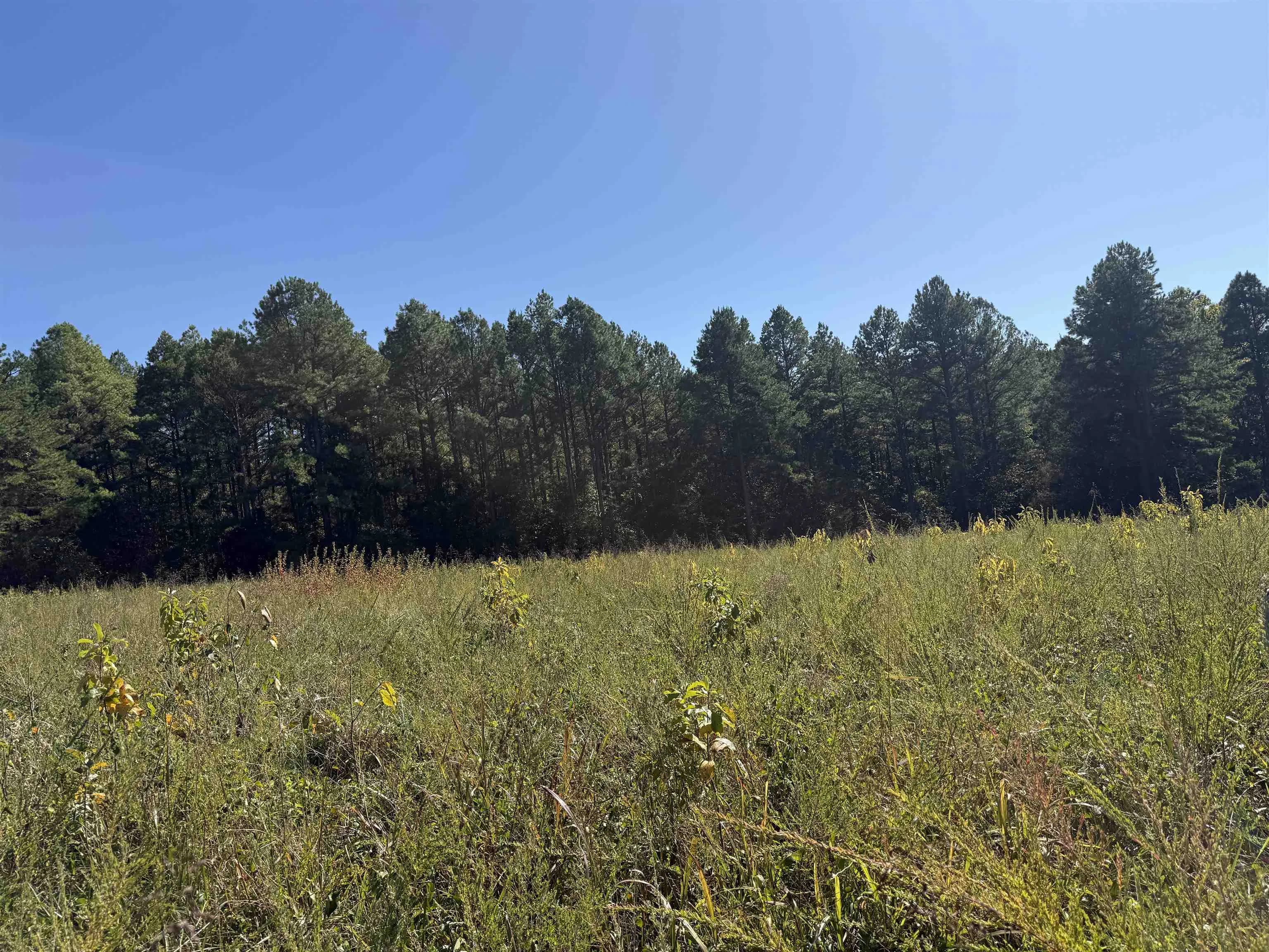 Property at 350  Gorby road - Image 3