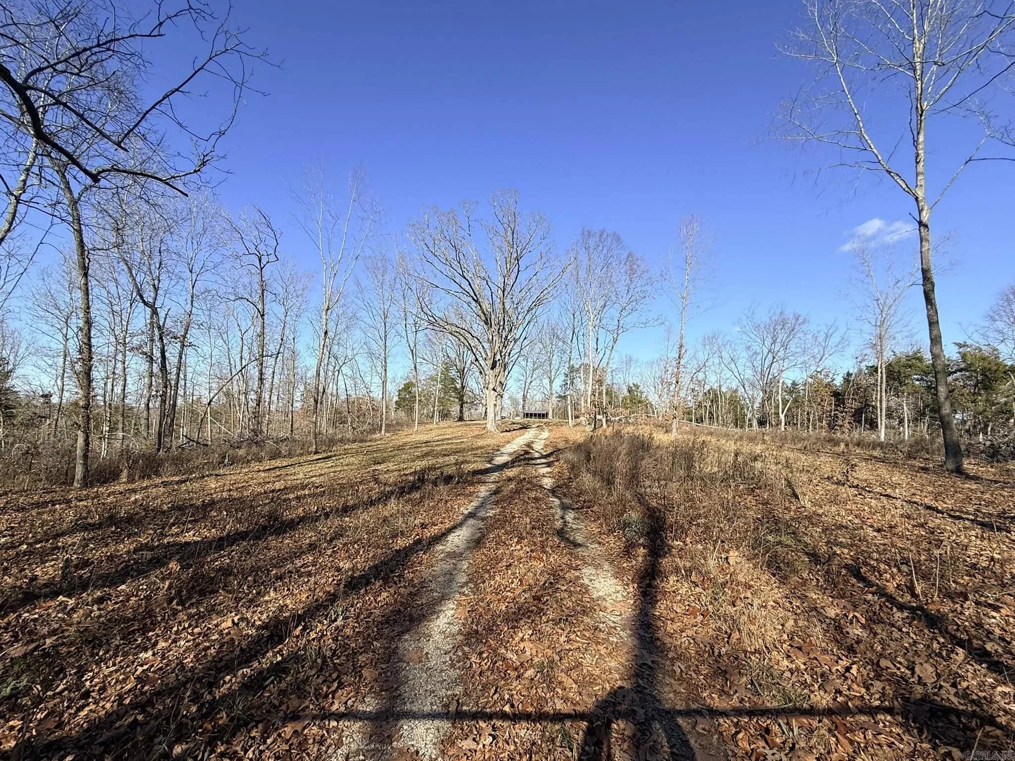 Property at 86 Acres  Palestine - Image 2