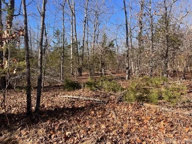Property at Monahan - Image 4