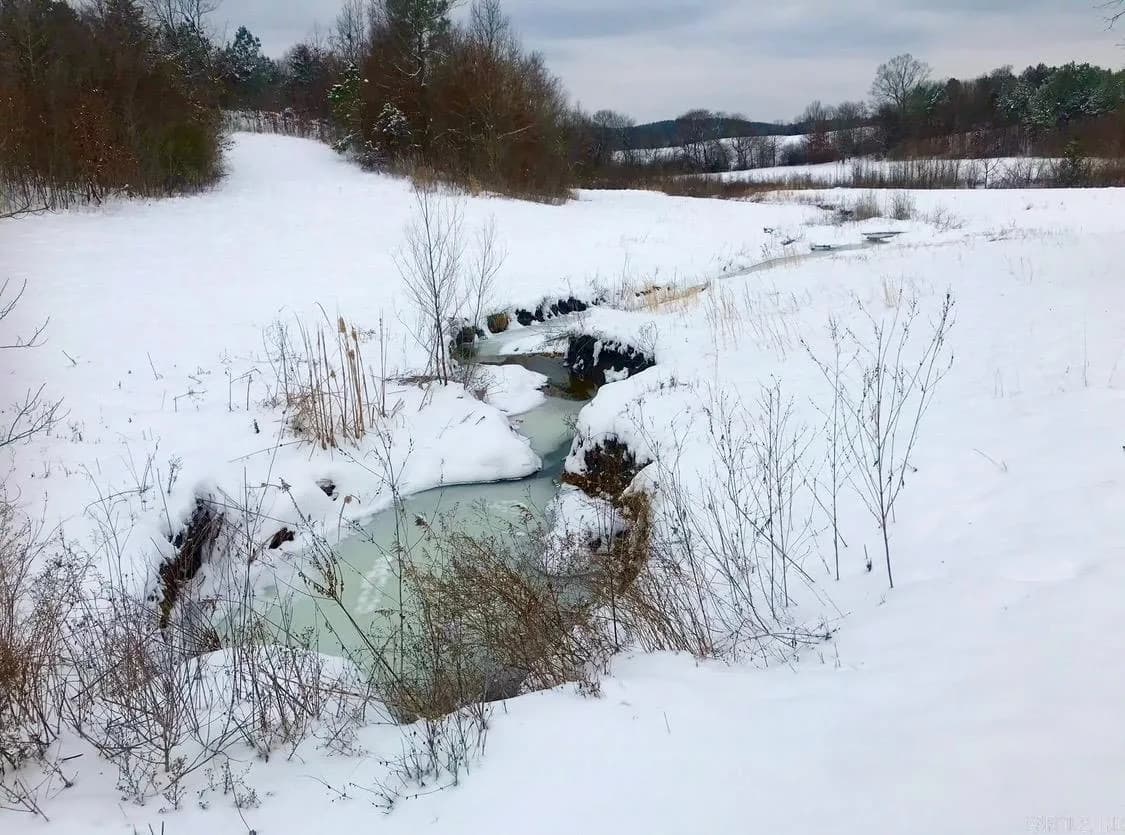 Property at 150  Twin creeks - Image 38
