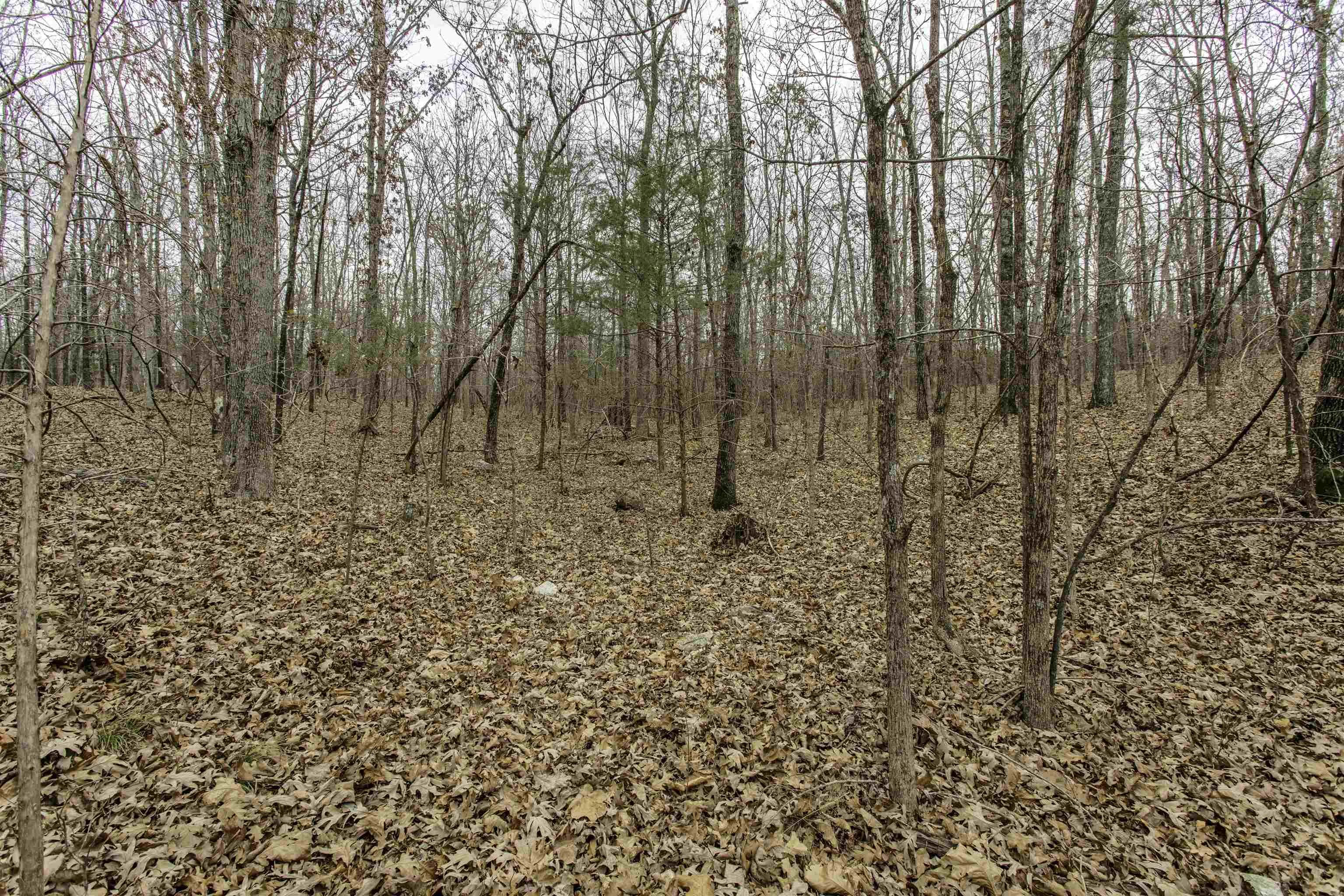 Property at 000  Valley chapel - Image 3