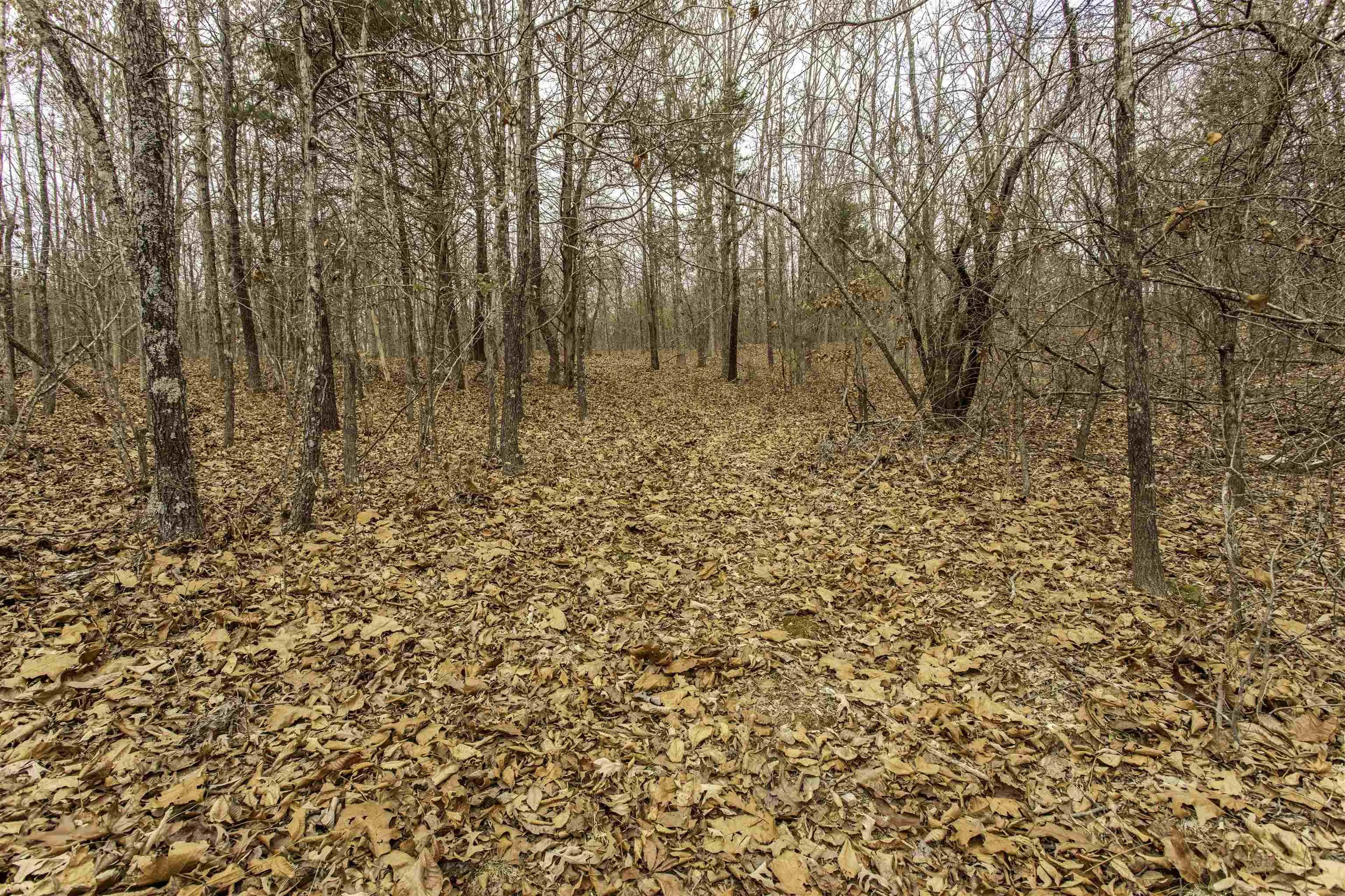 Property at 000  Valley chapel - Image 17