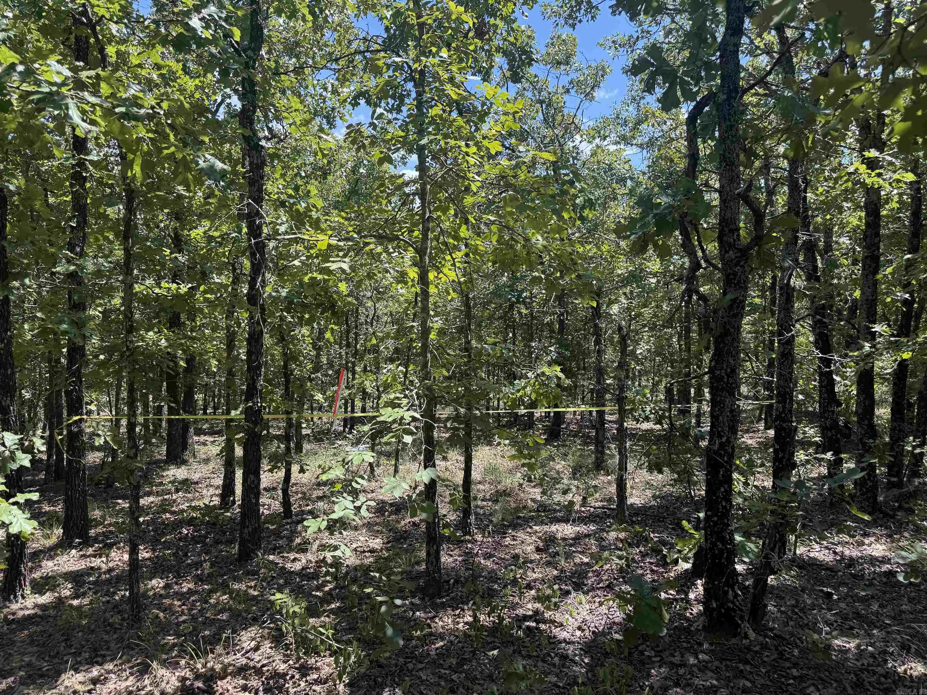 Property at Lot 4  7 lakes ranch blvd. - Image 2