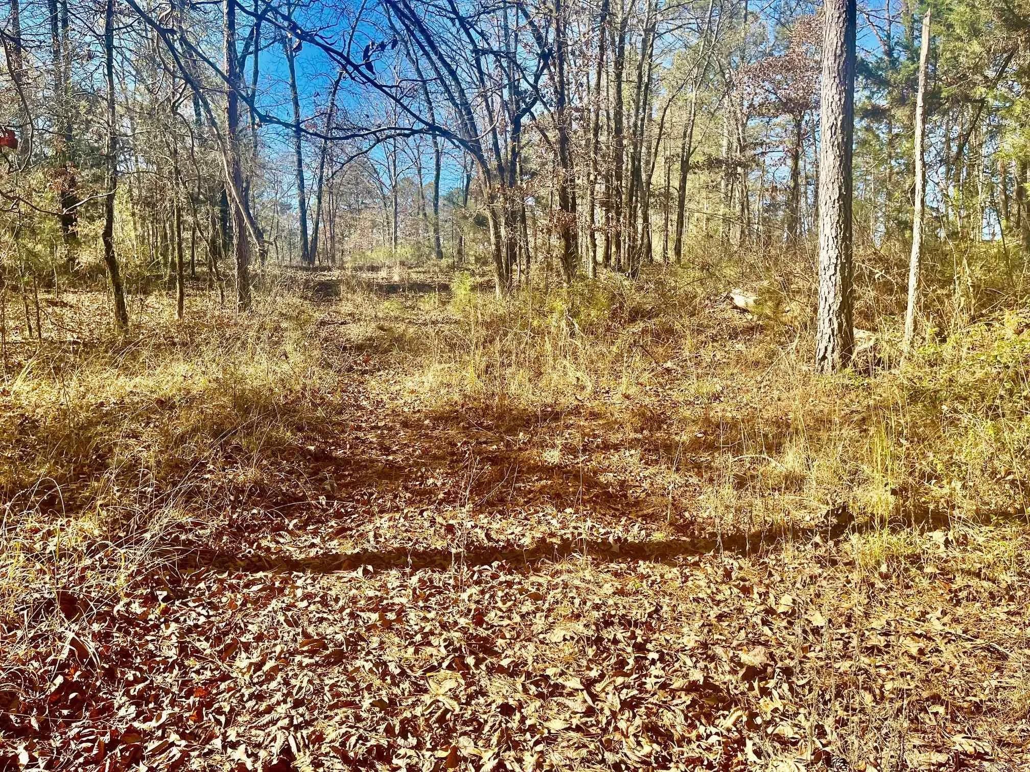 Property at 930  Cox creek - Image 9
