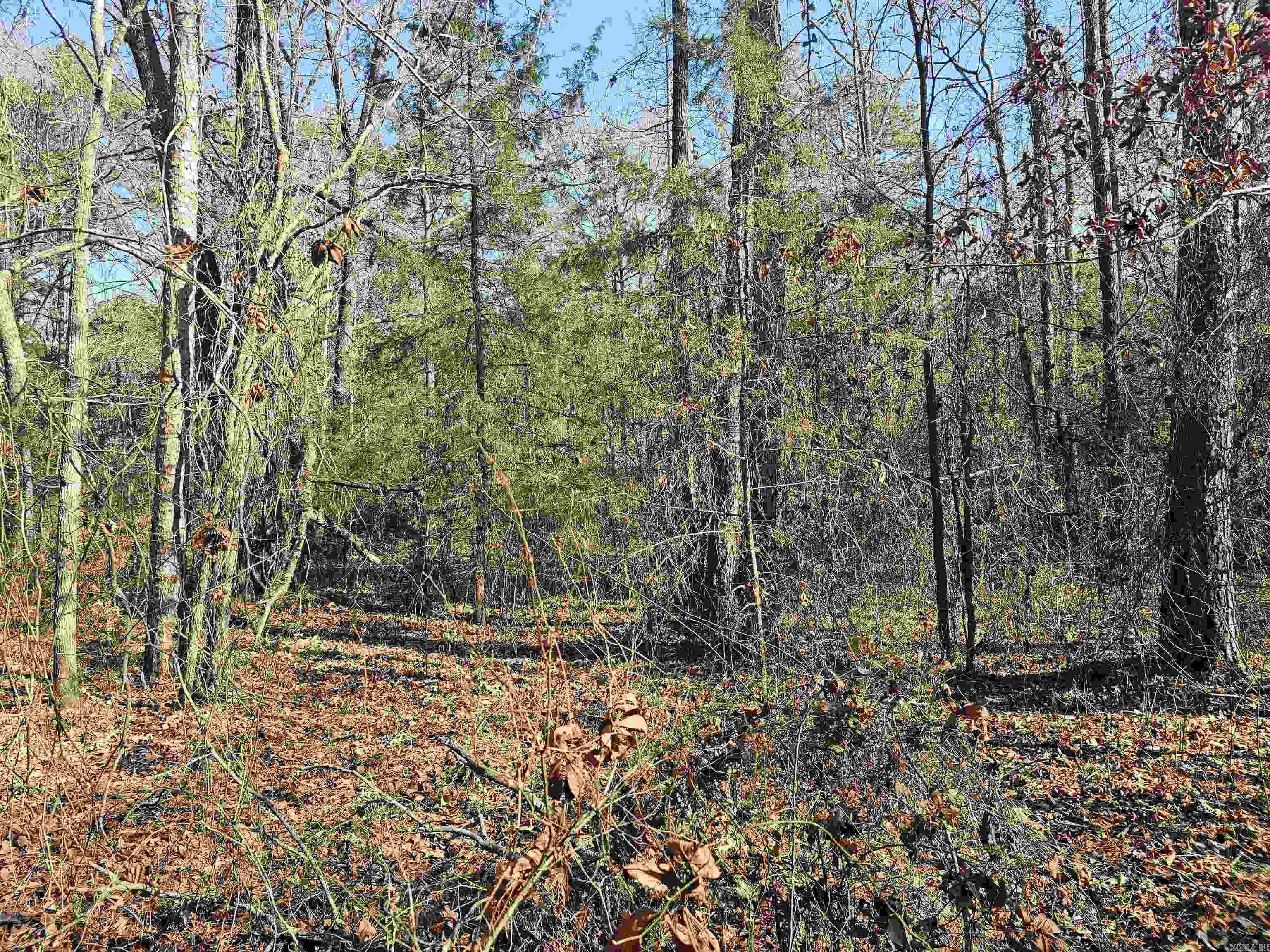 Property at Unk  Gilbert - Image 3