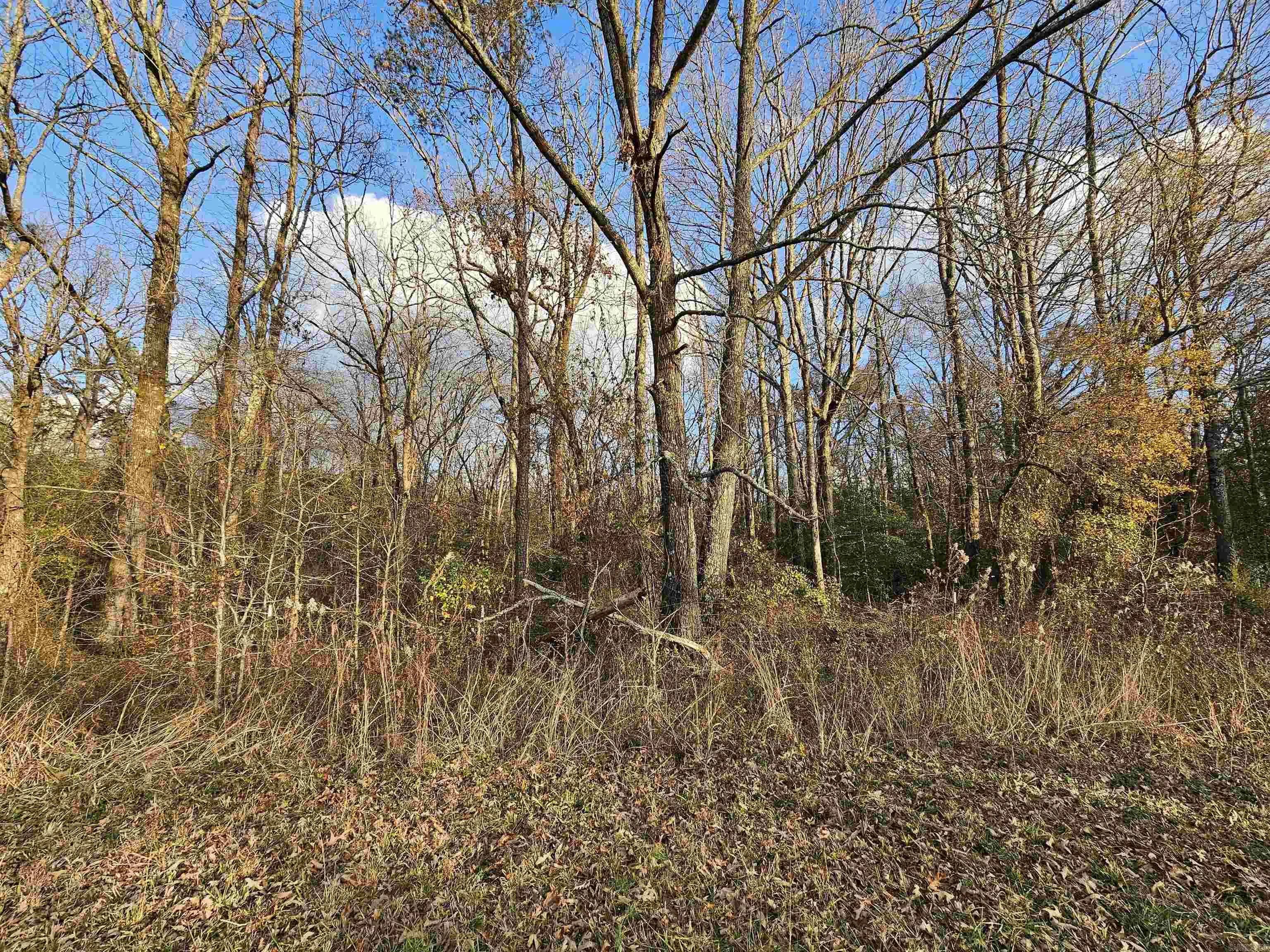 Property at Unk  Gilbert - Image 6