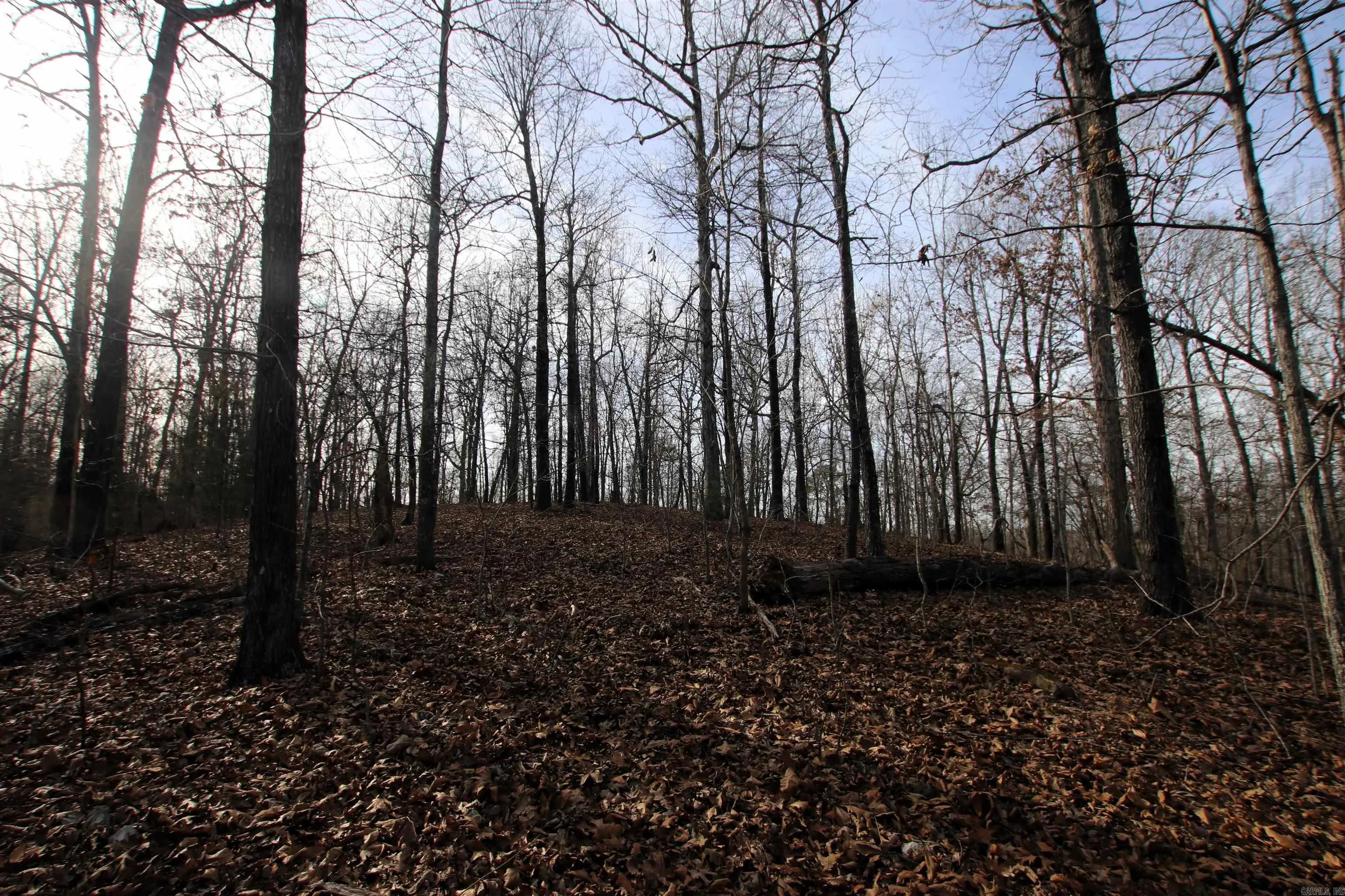 Property at 2671  Ar 14 - Image 25