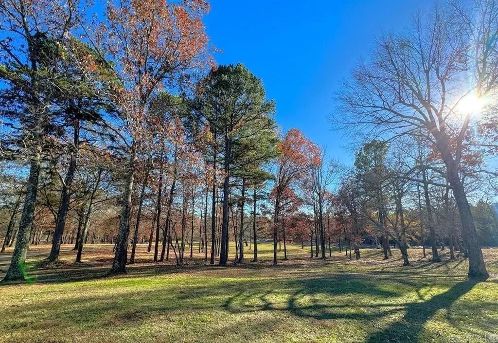 Property at 9791  Farm market 251 south - Image 41