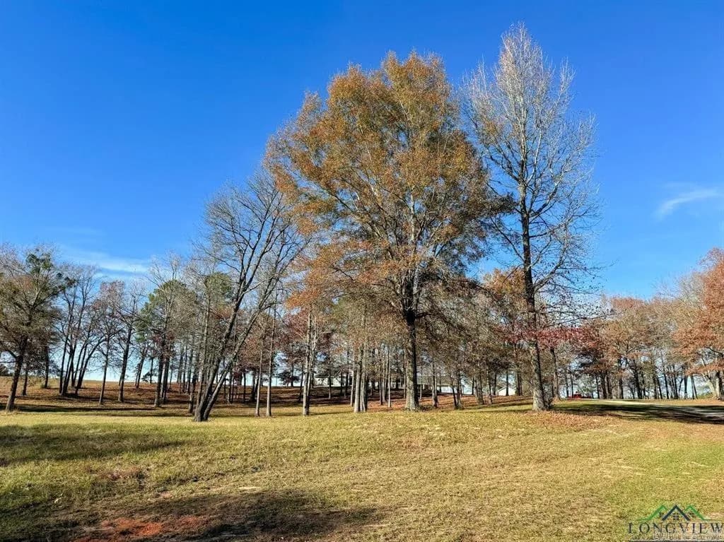 Property at 9791  Farm market 251 south - Image 44