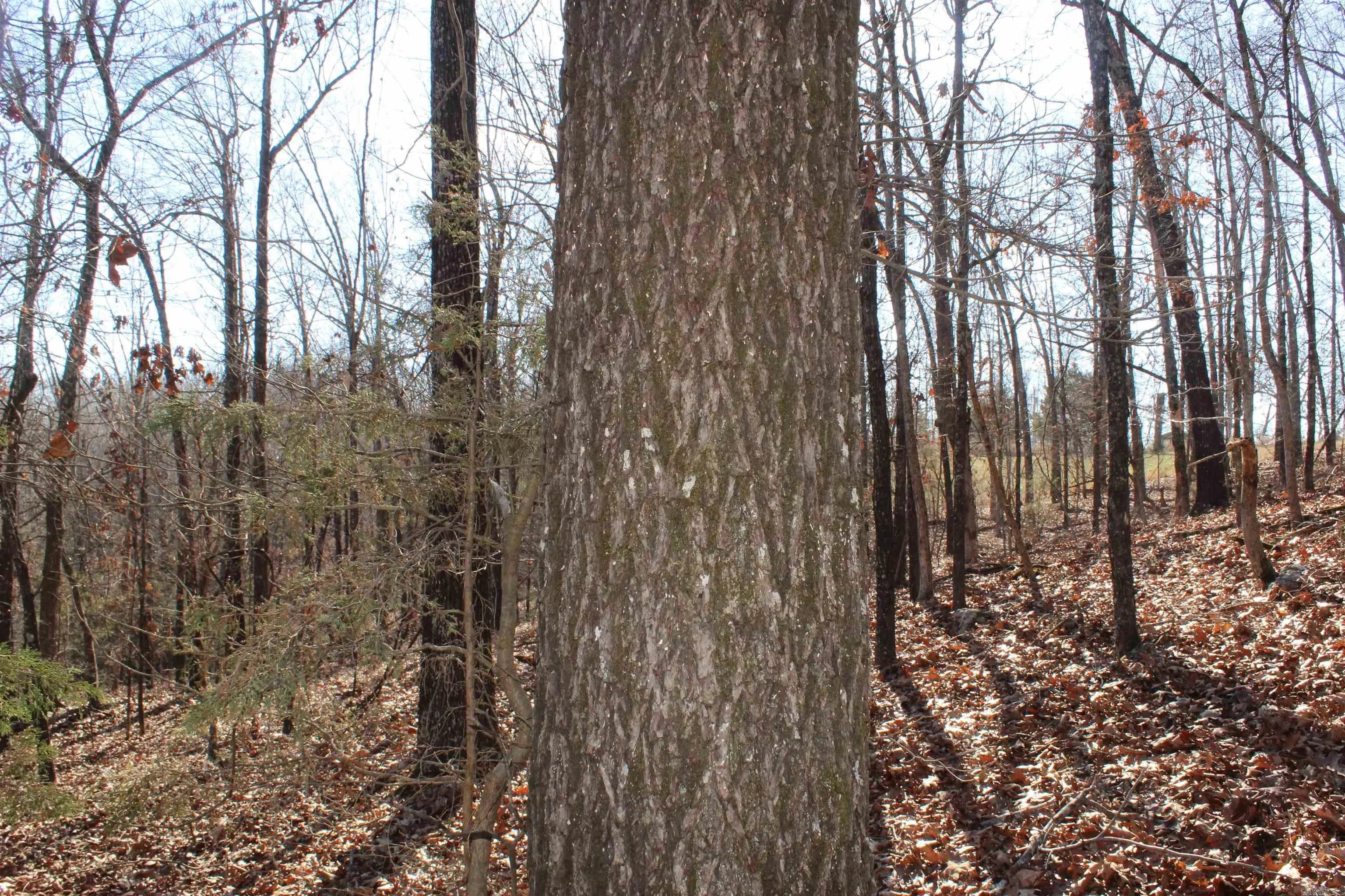 Property at 000  Cr 502 - Image 18