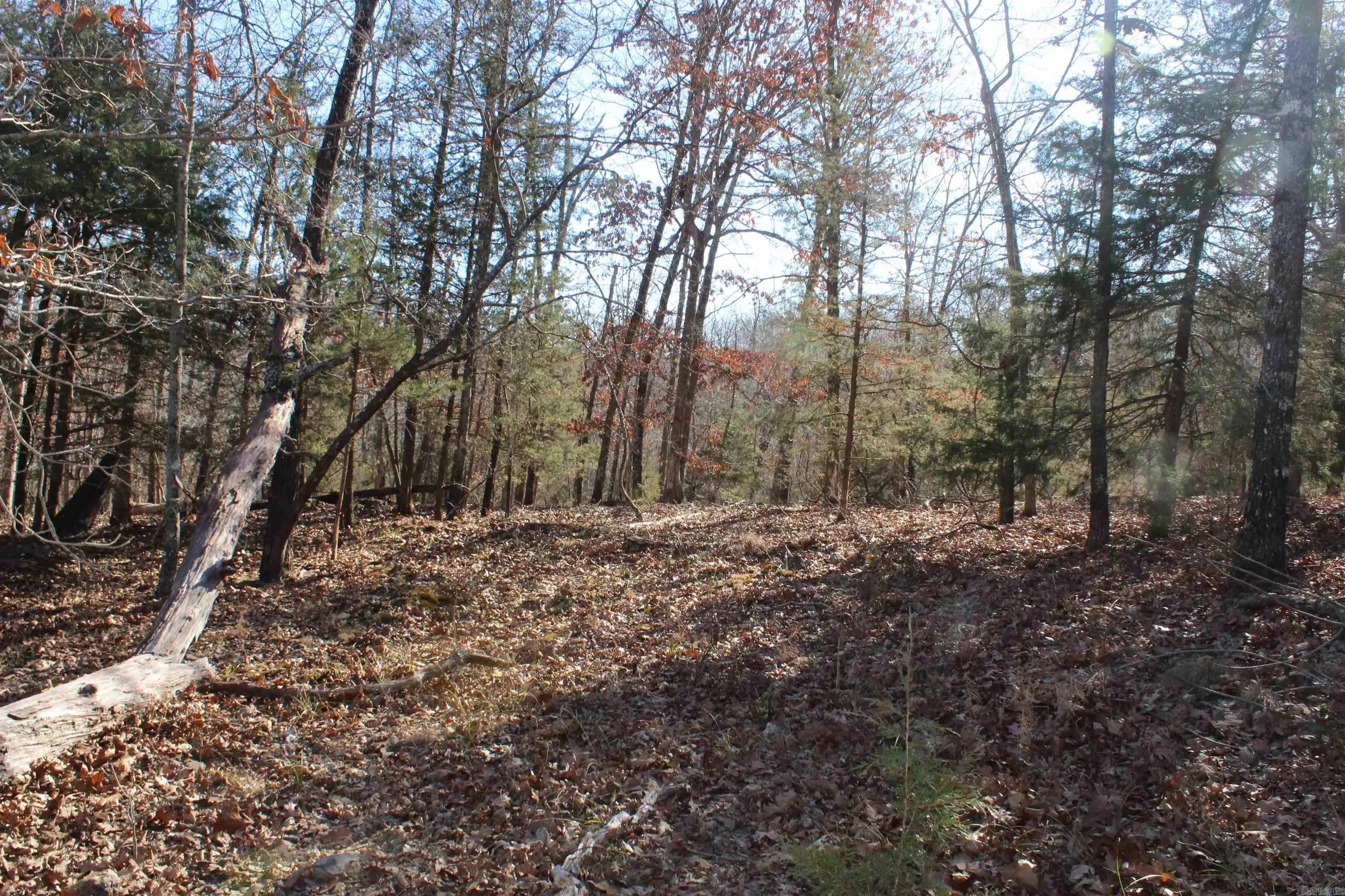 Property at 000  Cr 502 - Image 34