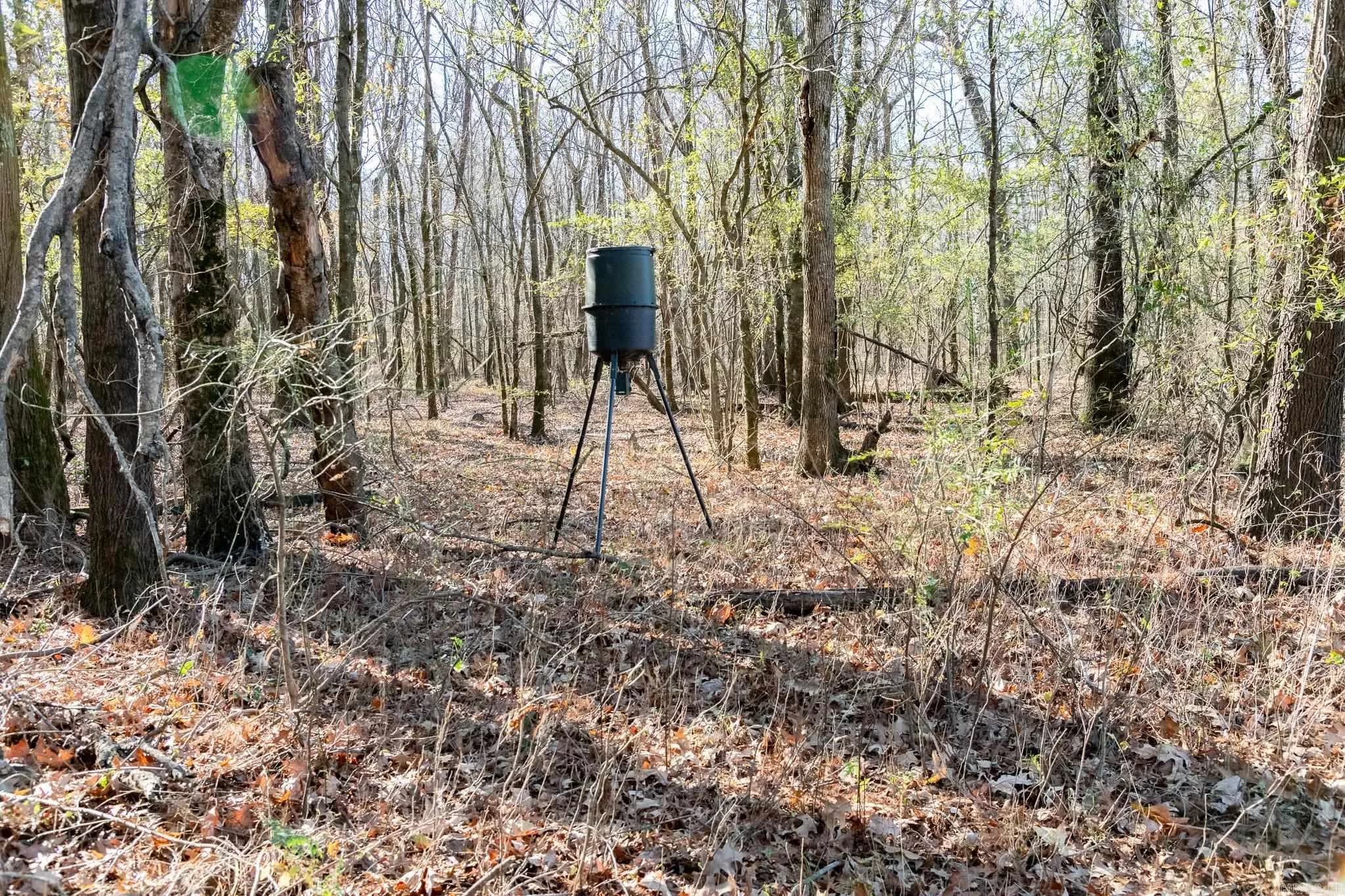 Property at 0000  Hwy 163 - Image 38