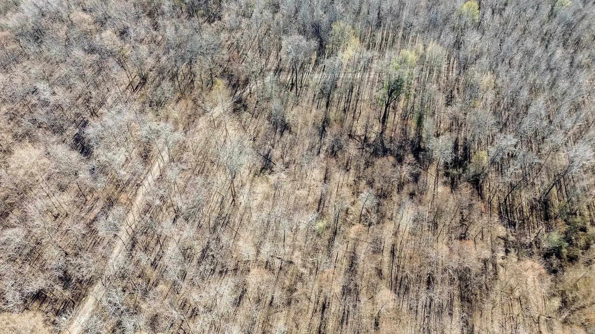 Property at 0000  Hwy 163 - Image 13