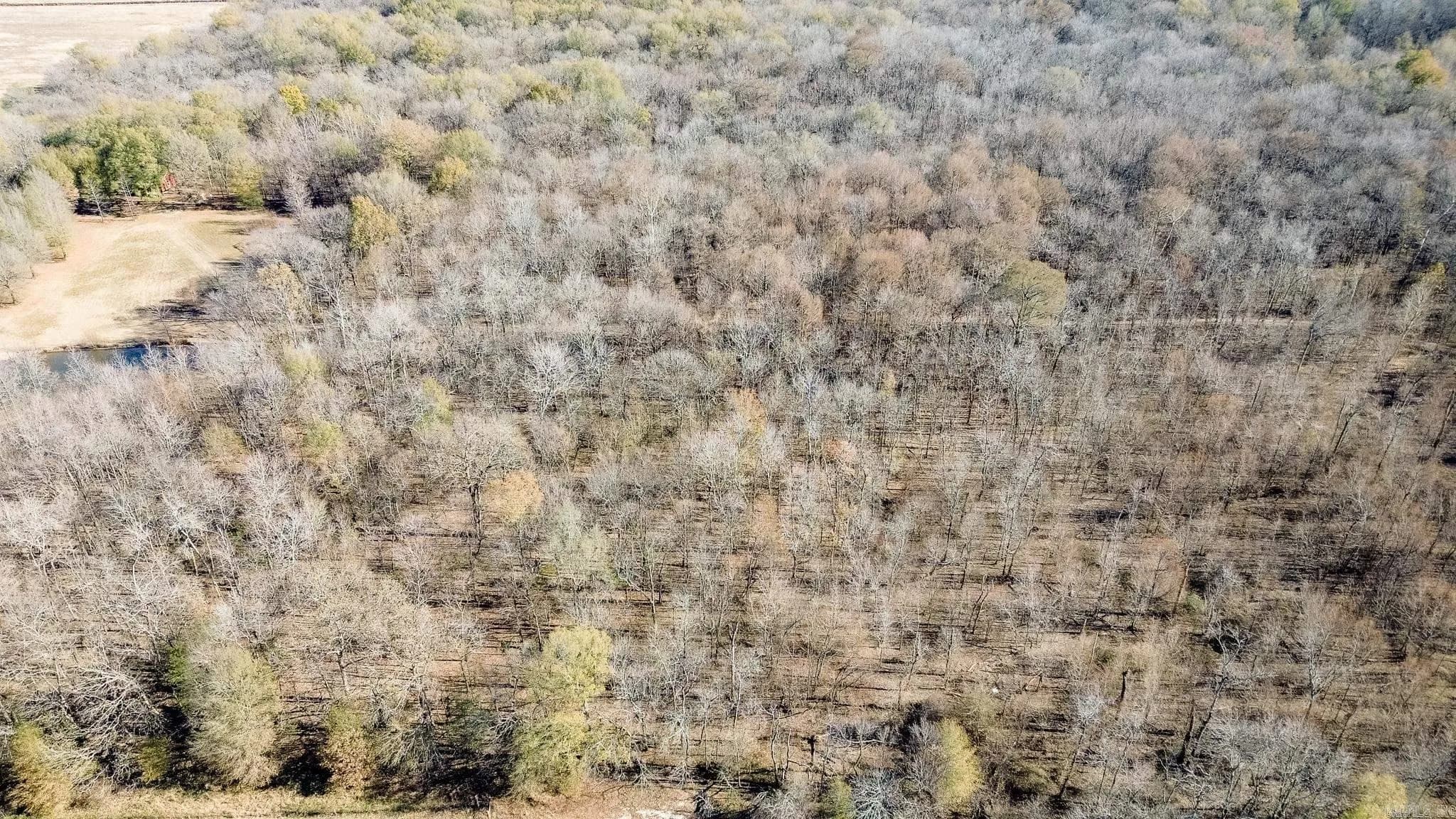 Property at 0000  Hwy 163 - Image 12