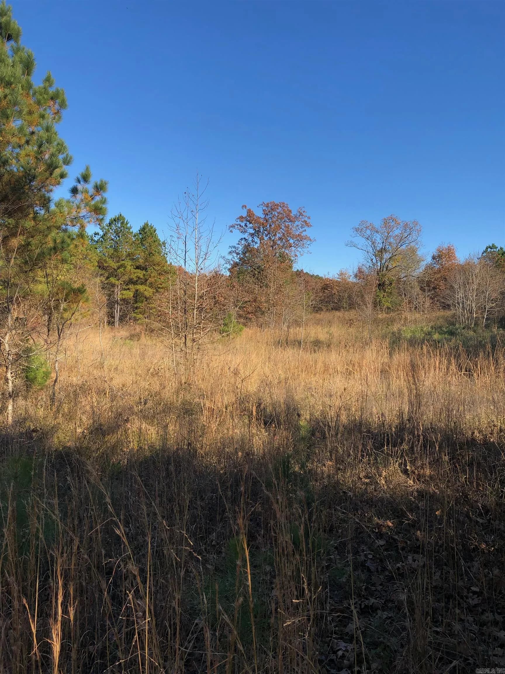 Property at tbd  Hwy 301 - Image 5
