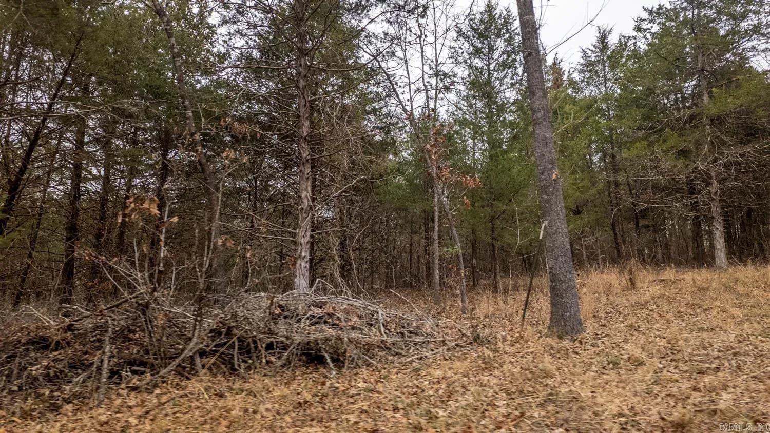 Property at 000  State highway 142 west - Image 11
