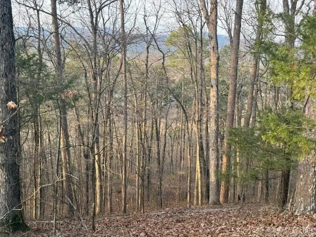 Property at OFF  Hwy 164 - Image 2