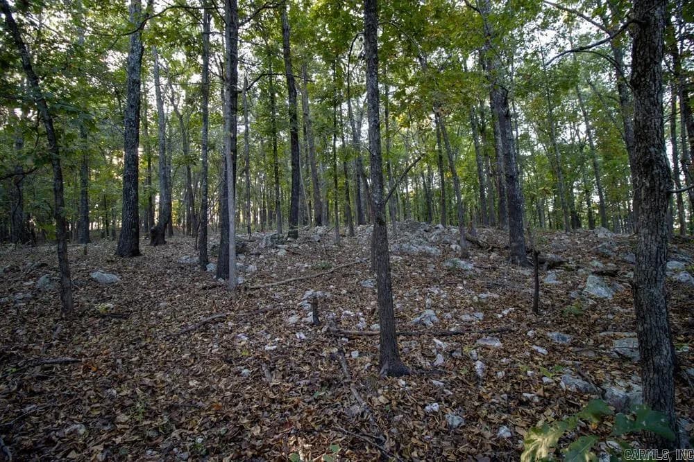 Property at 0000  Mcfarr - Image 23