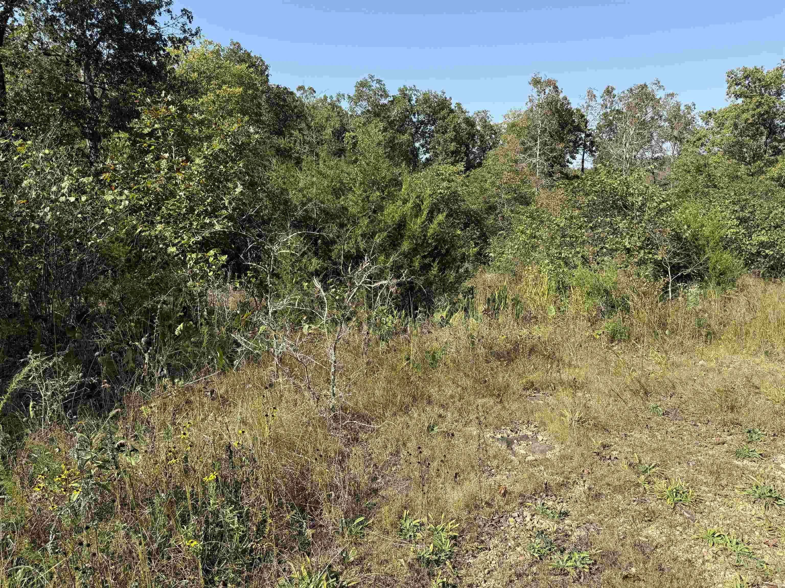 Property at 232  New hope road - Image 8