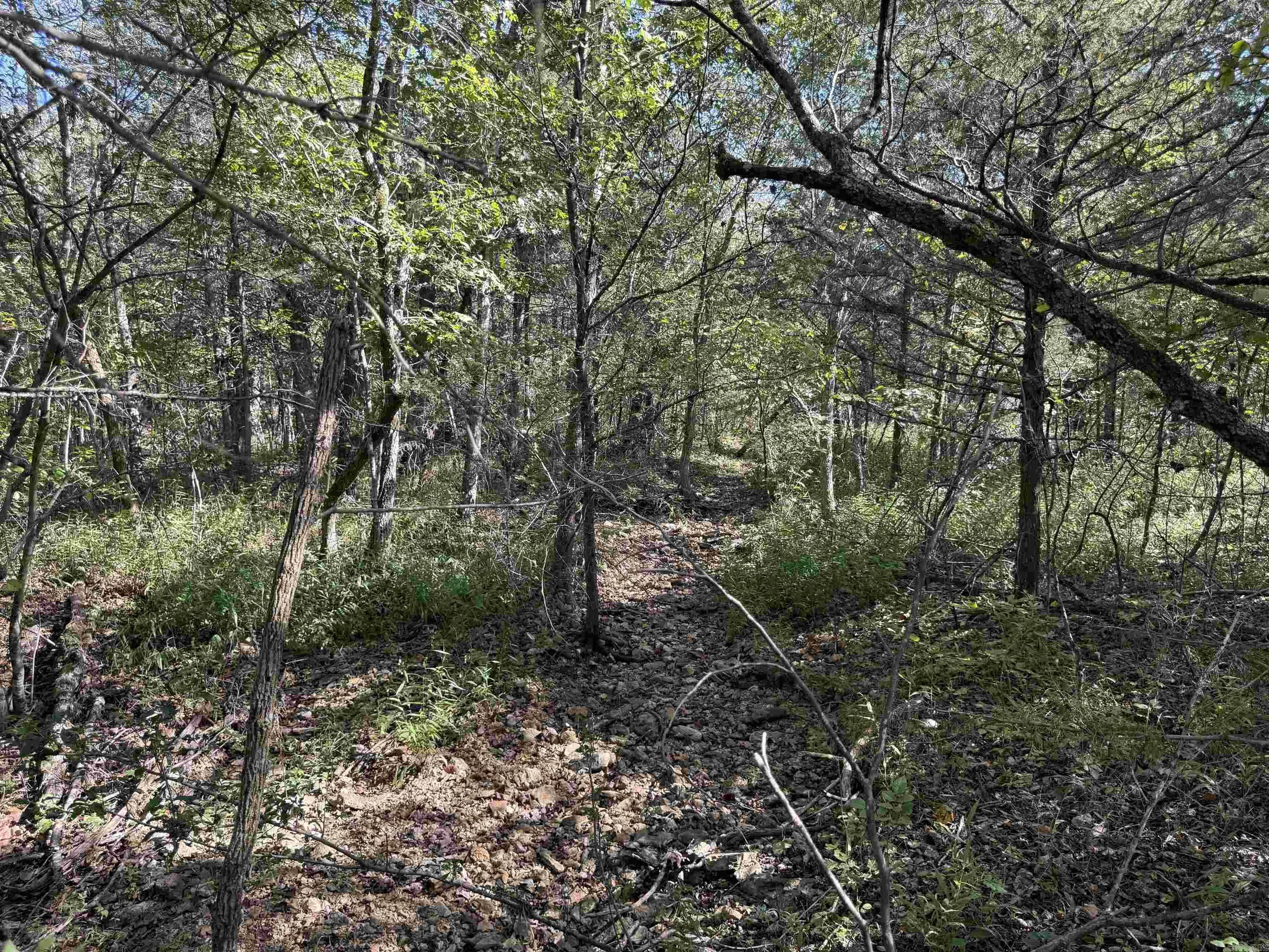Property at 232  New hope road - Image 30