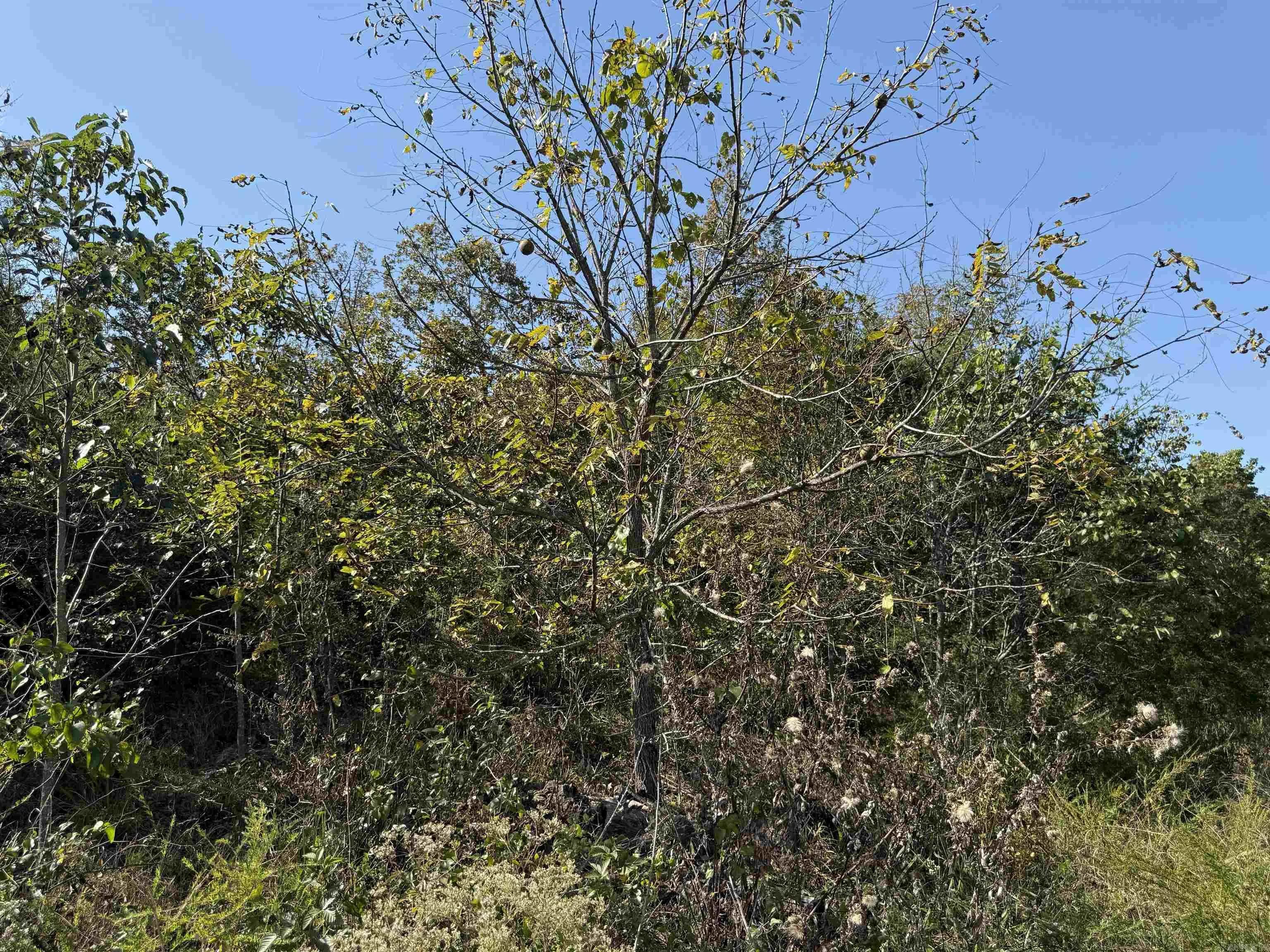 Property at 232  New hope road - Image 27