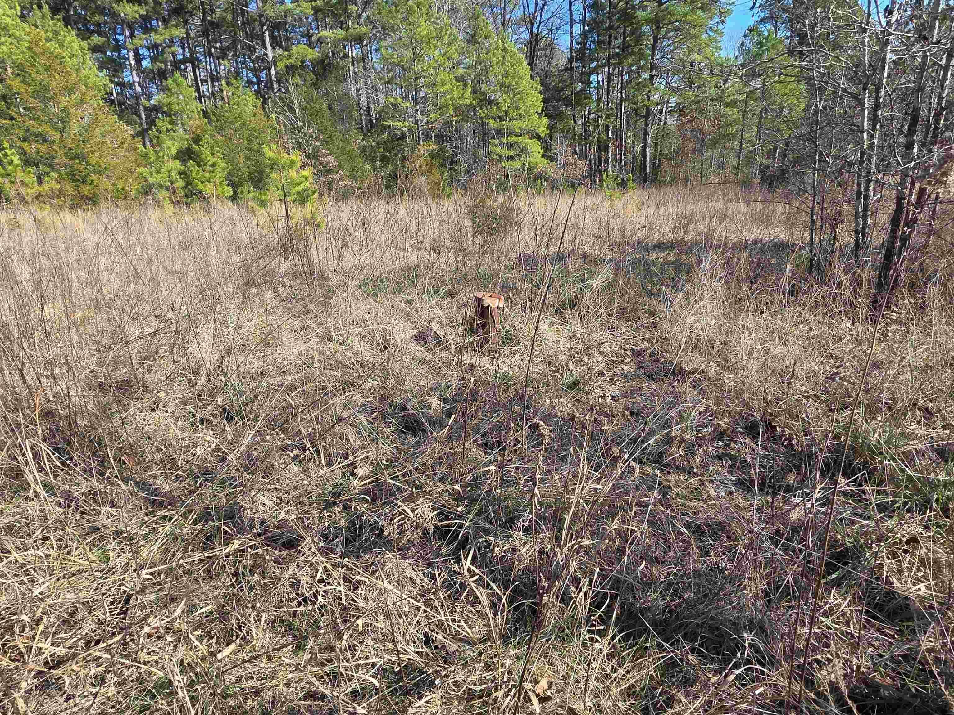 Property at 49  Meadow brook - Image 18
