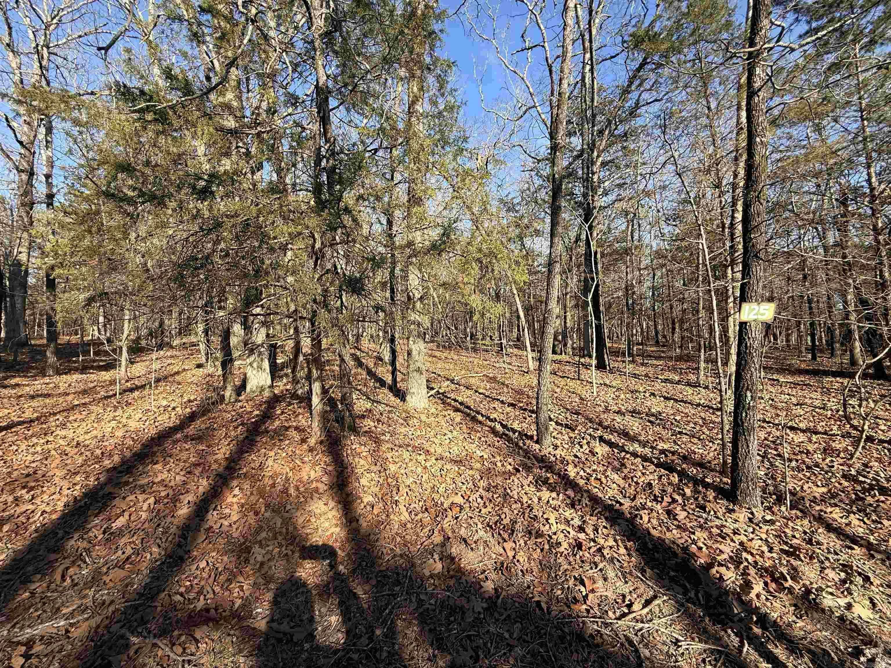 Property at Lot 125  Tannenbaum rd. - Image 2