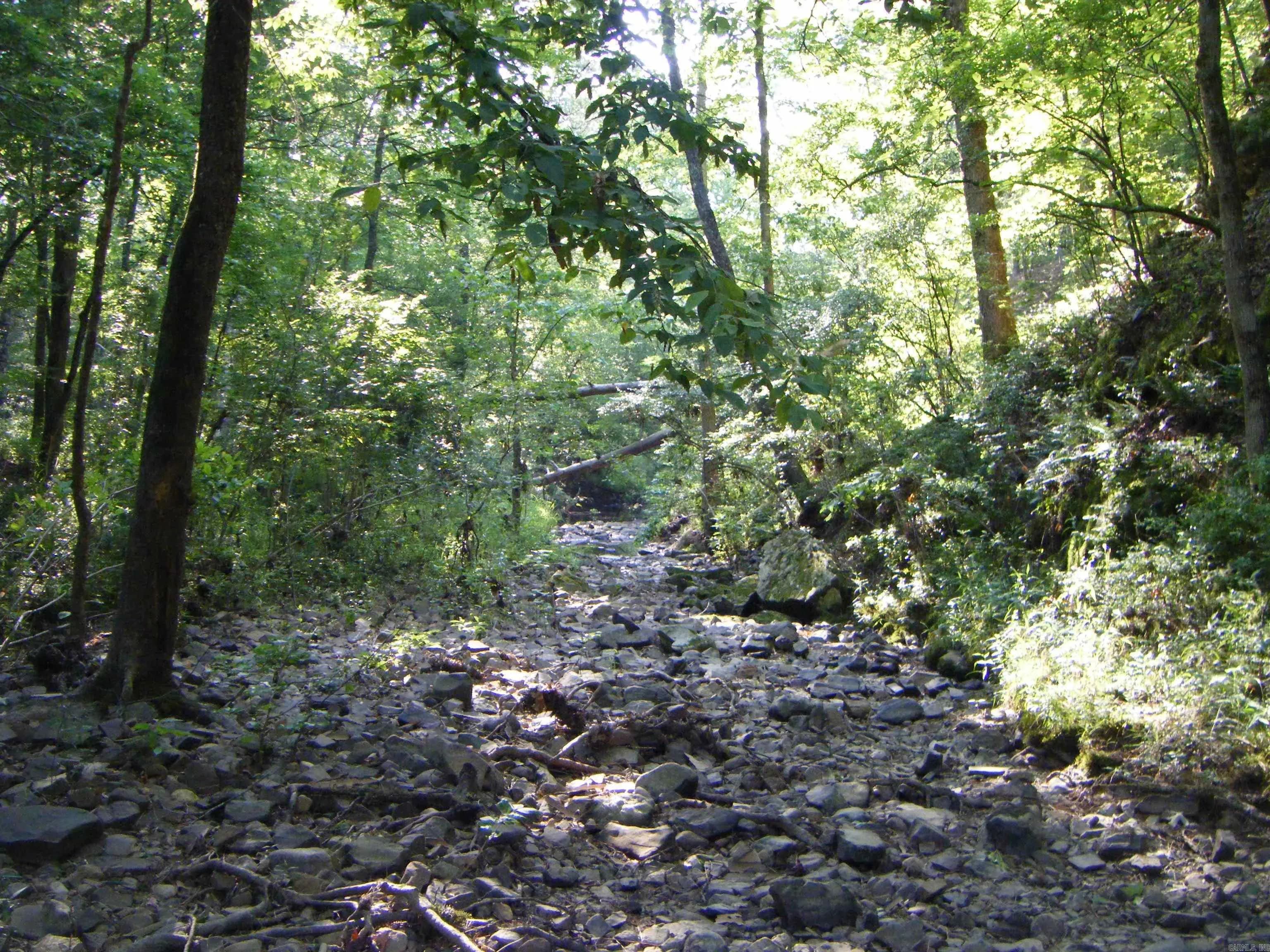 Property at TBD  Mosley - Image 3