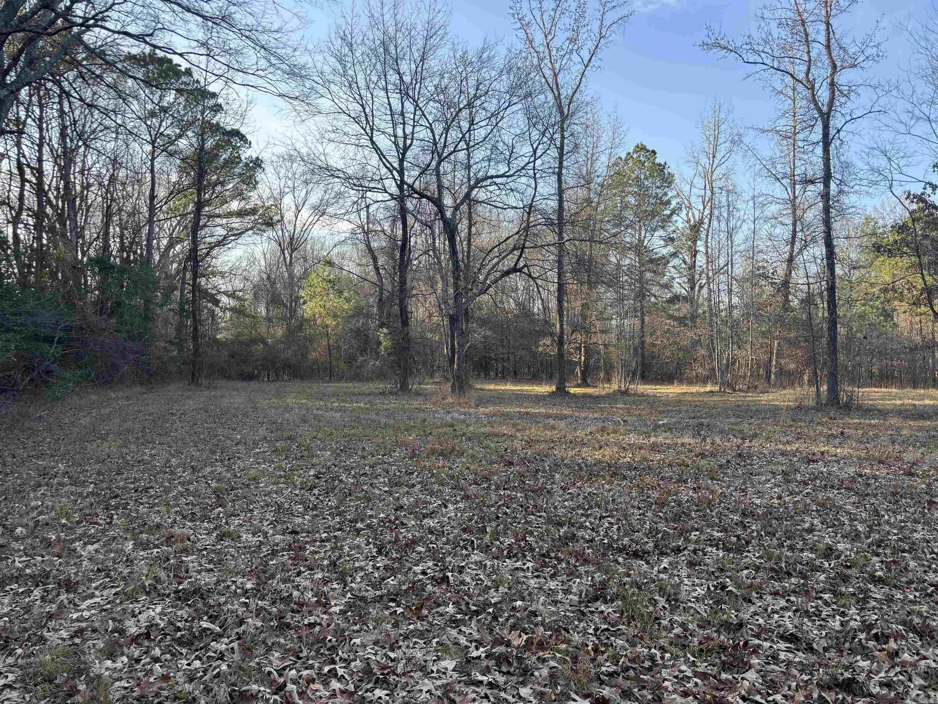 Property at 183  Grant 49 - Image 2