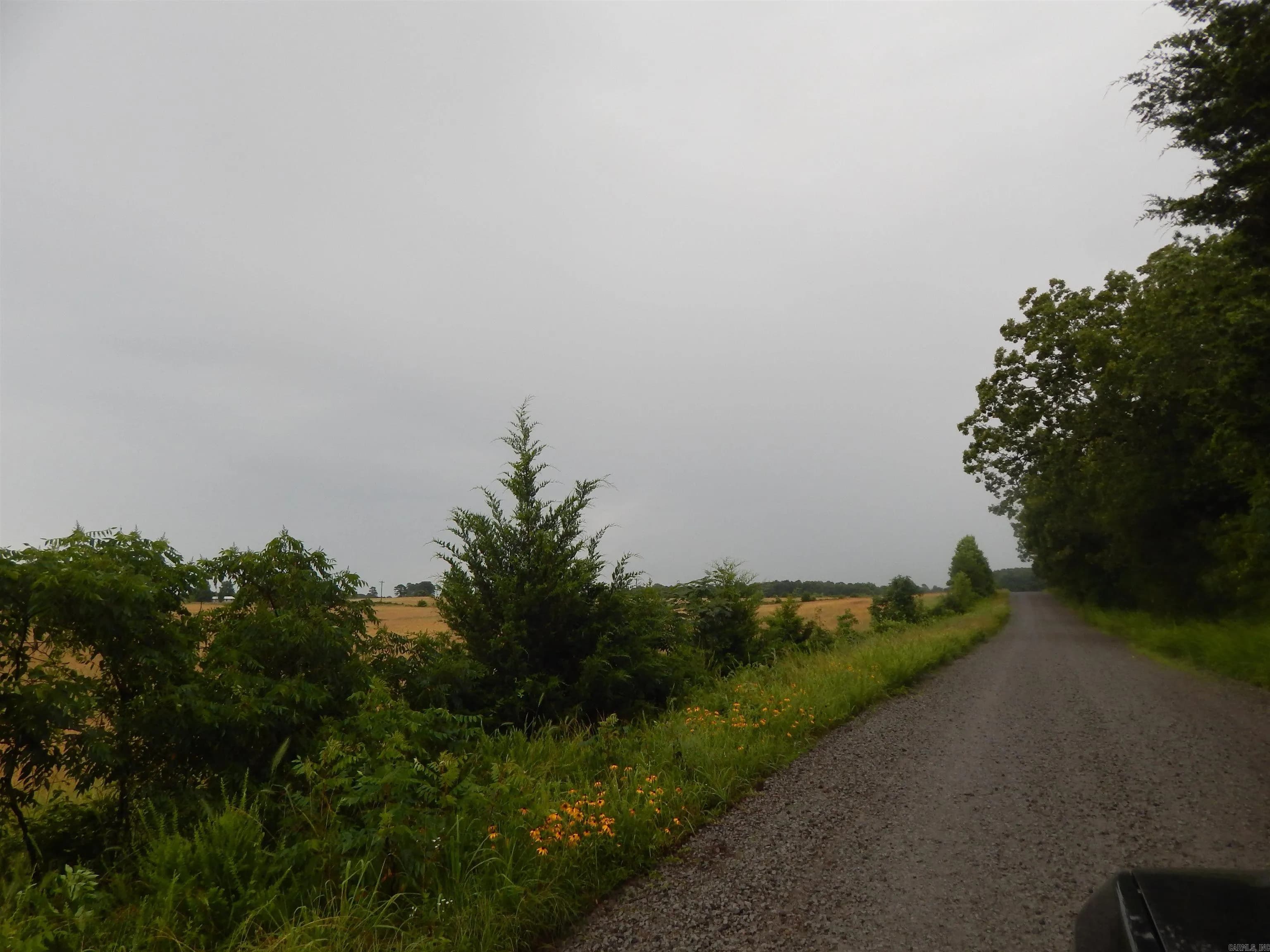 Property at 577  Thacker - Image 11