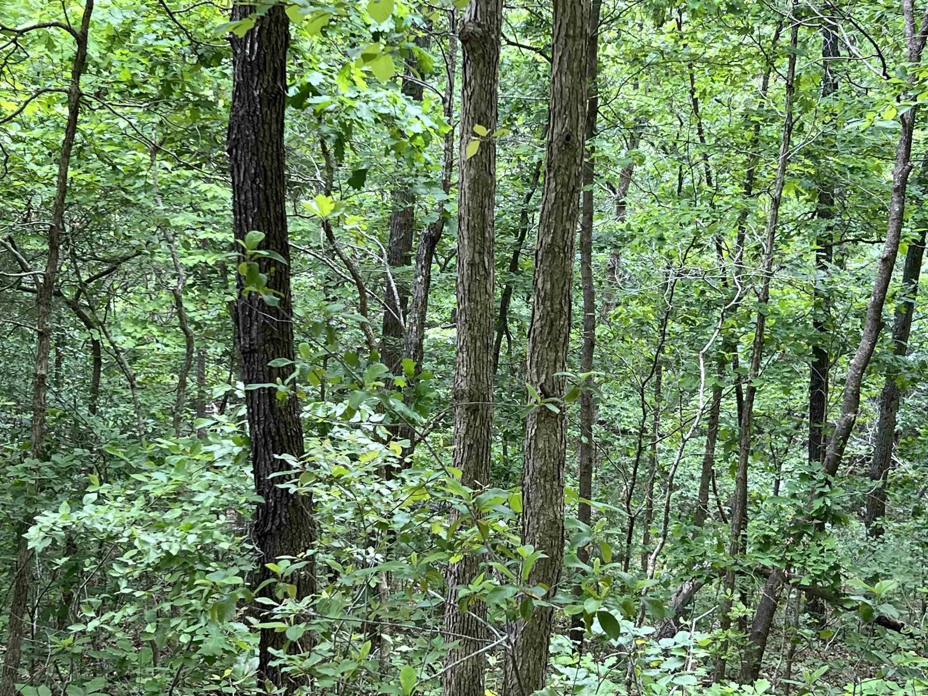 Property at Lot 7  Tall oaks trail - Image 7