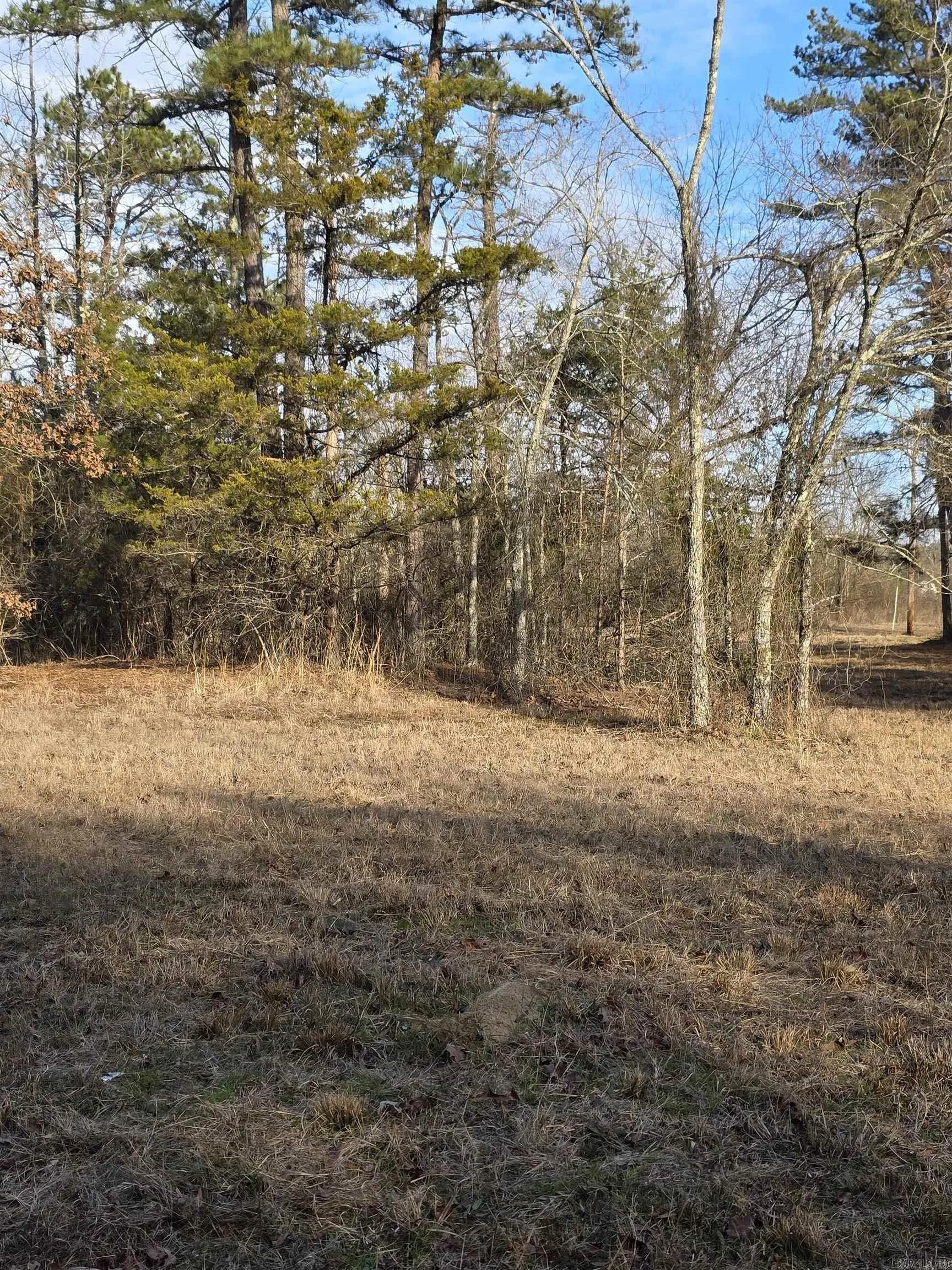 Property at Unk  Blissful - Image 6