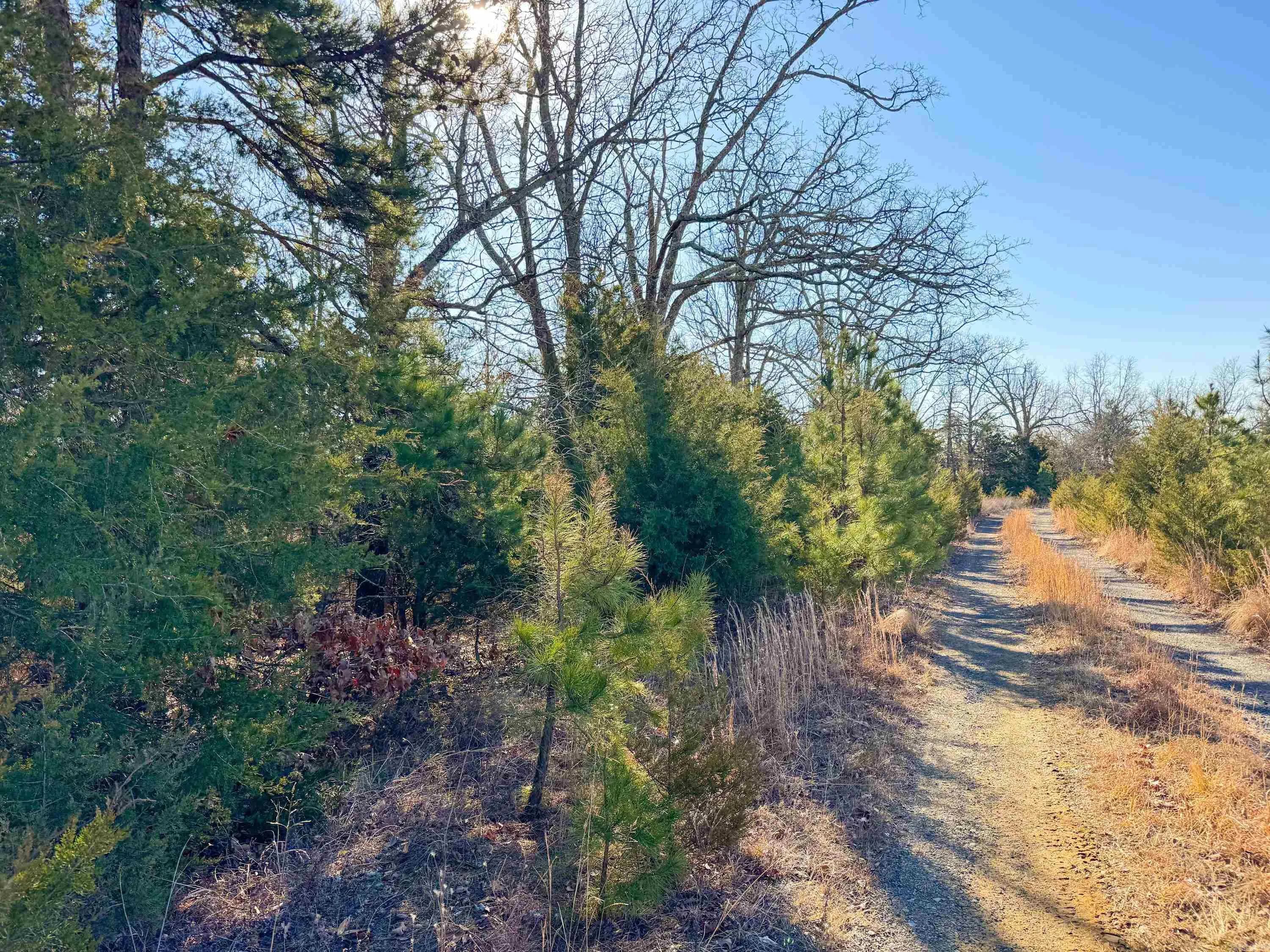 Property at 370  Guy - Image 10