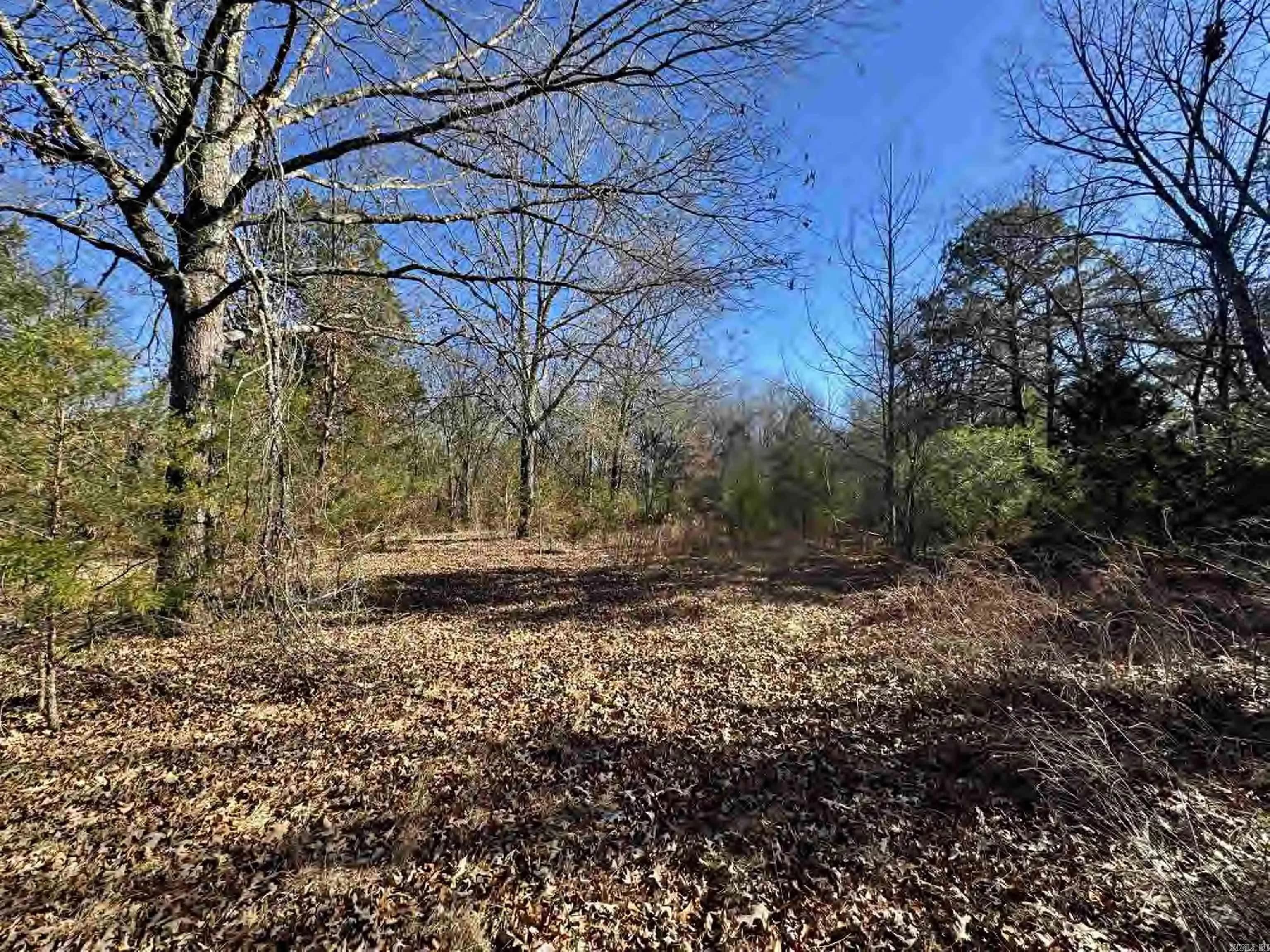 Property at 56  155 - Image 31