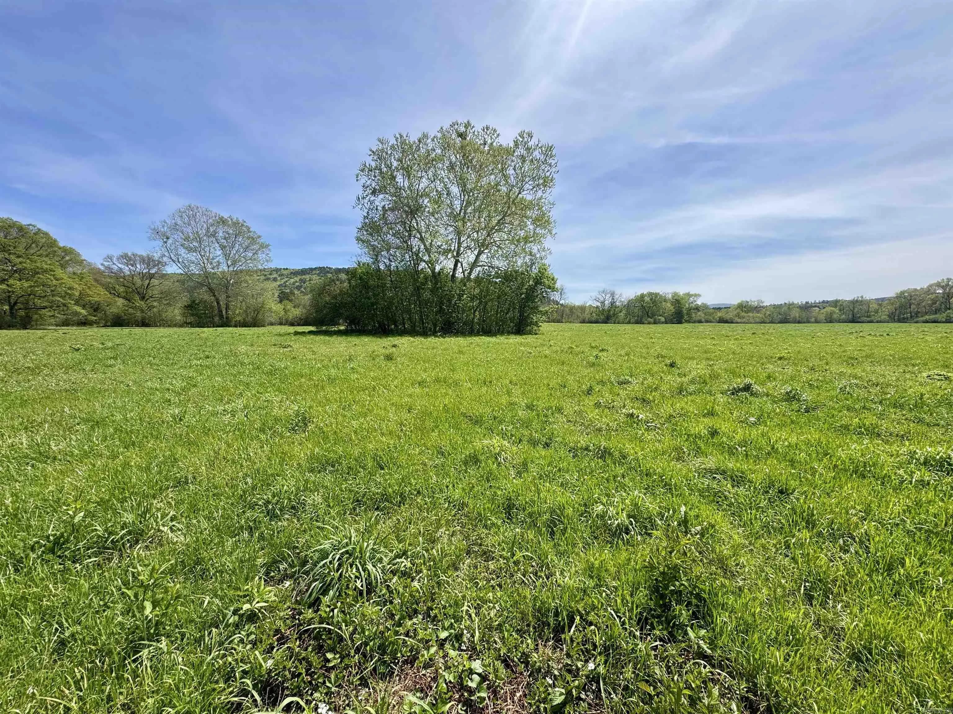 Property at TBD  Fourche river - Image 22