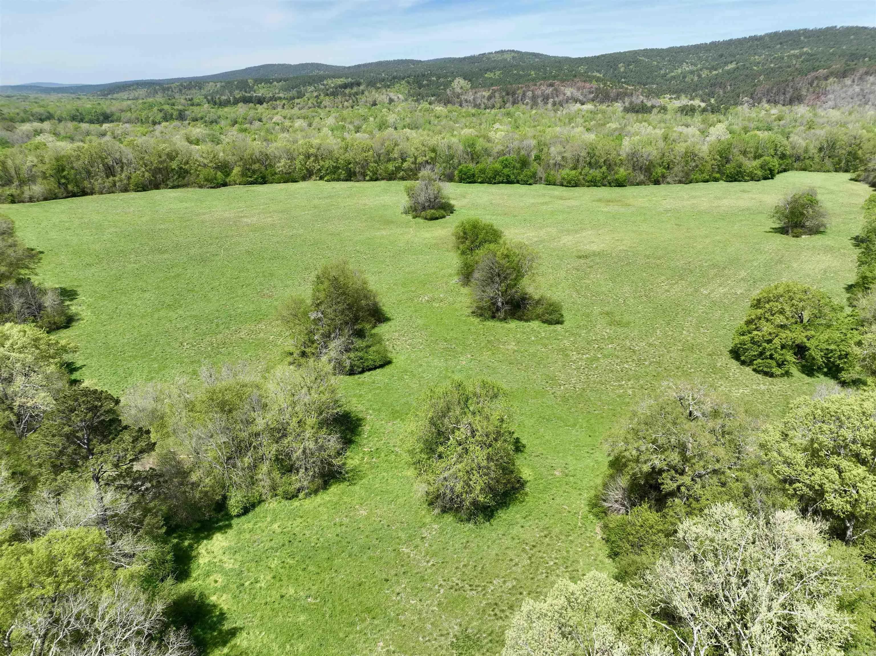 Property at TBD  Fourche river - Image 4