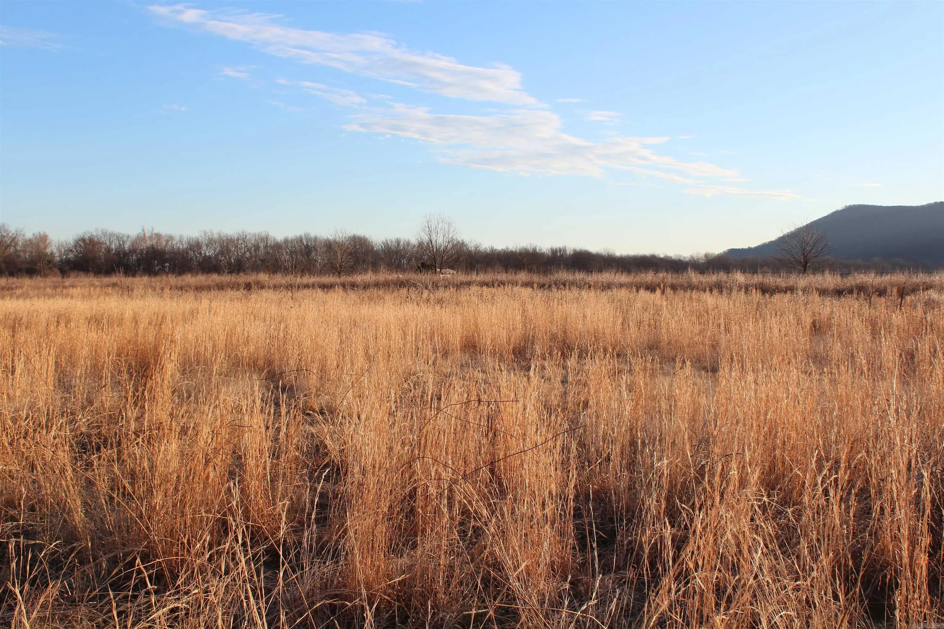 Property at 000  Carden bottoms rd - Image 17