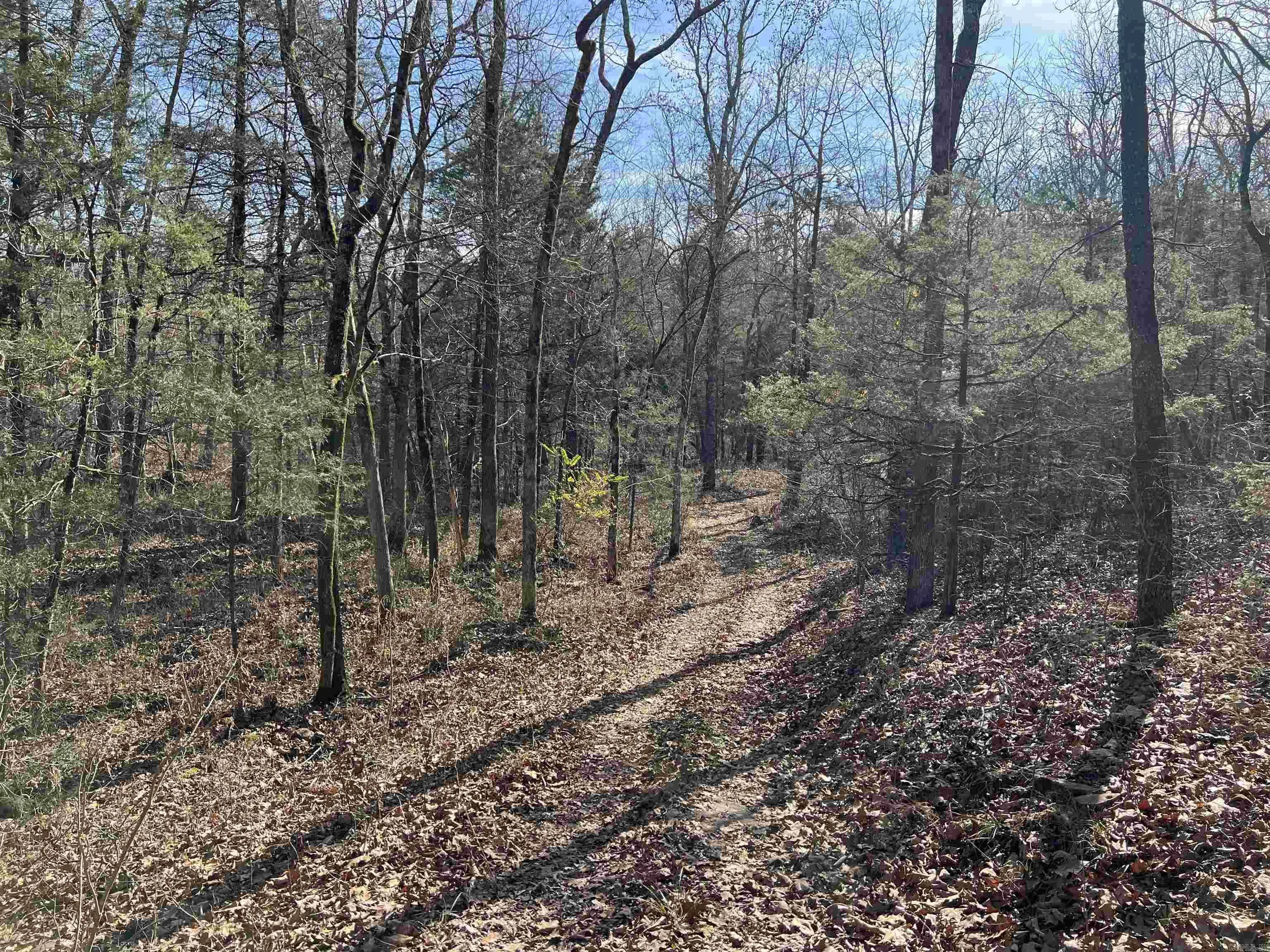 Property at 000  Shiloh rd - Image 28