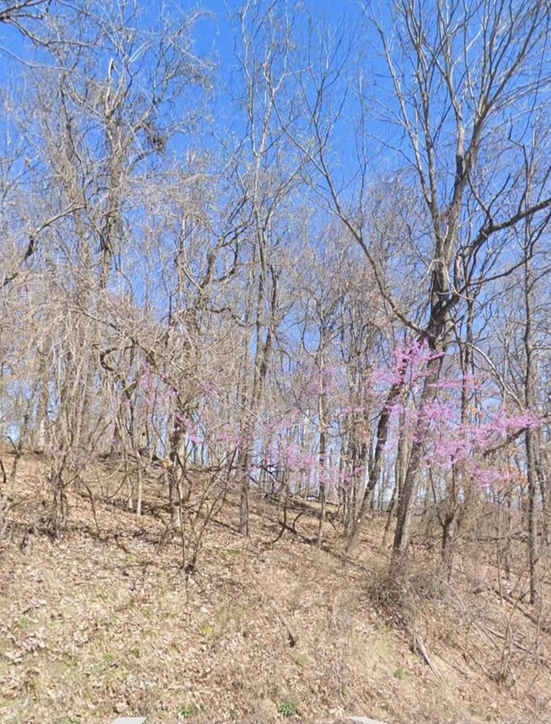 Property at 5.16 Acres  Summit - Image 1