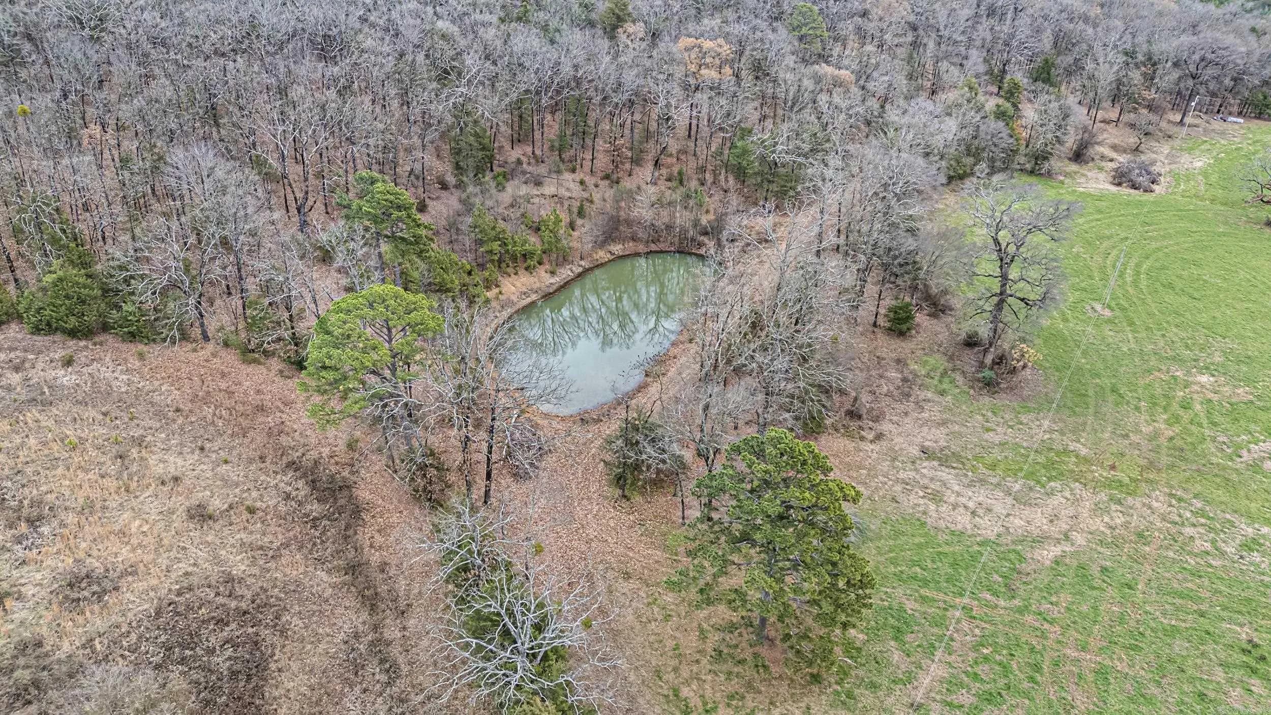 Property at 200  Sawmill - Image 20