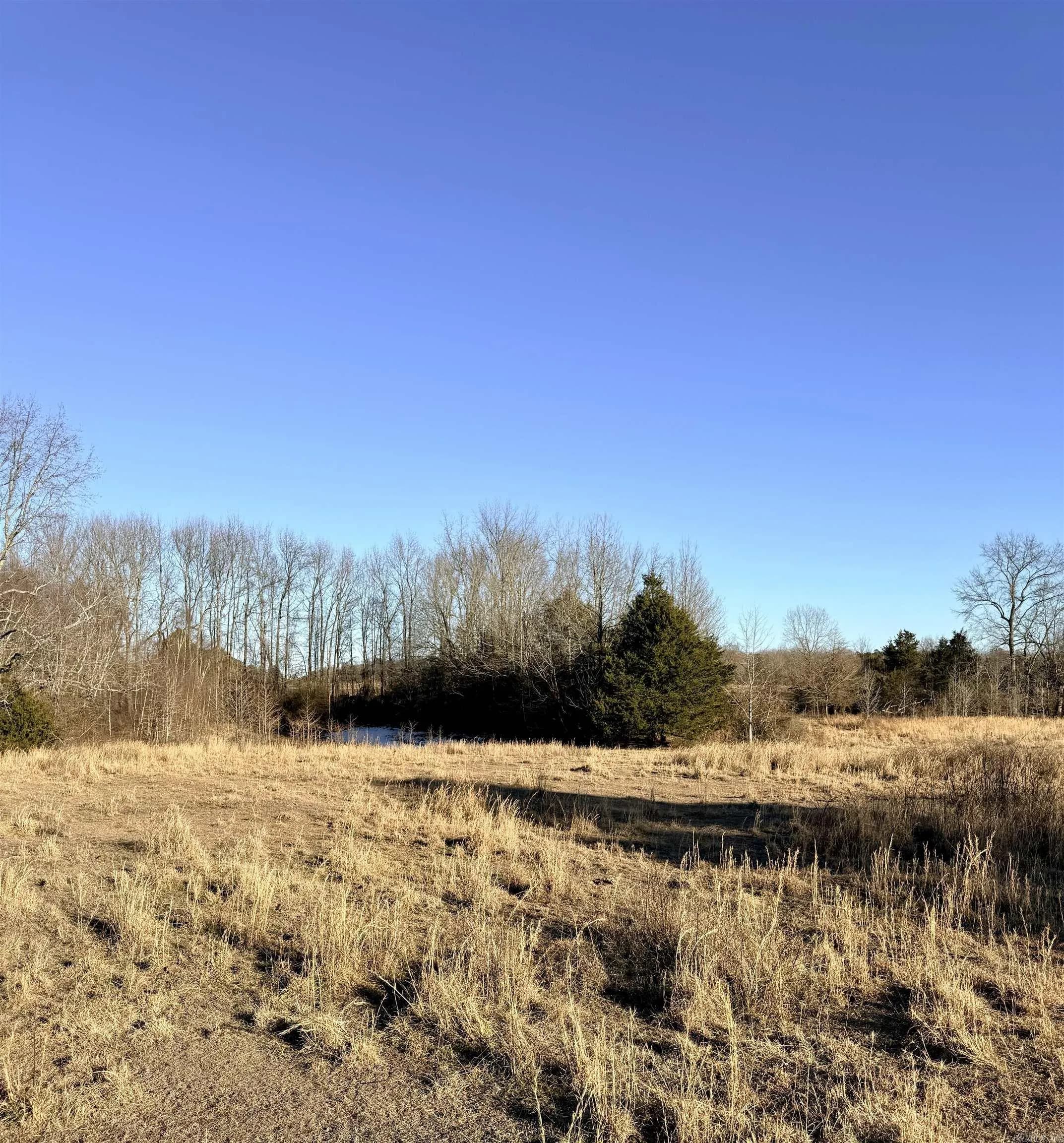 Property at 0  Lone star - Image 30