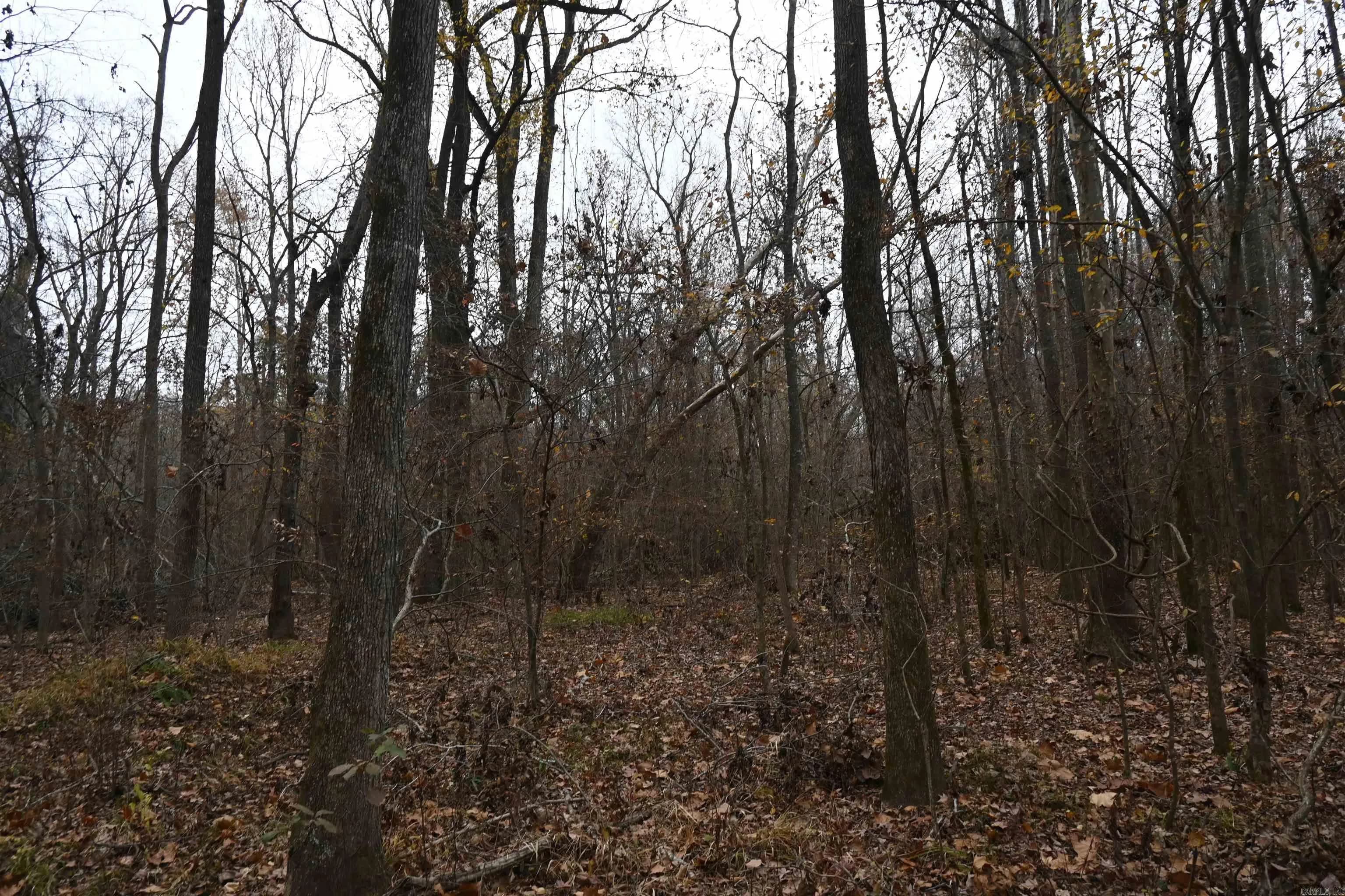 Property at 512  Owens ln - Image 20