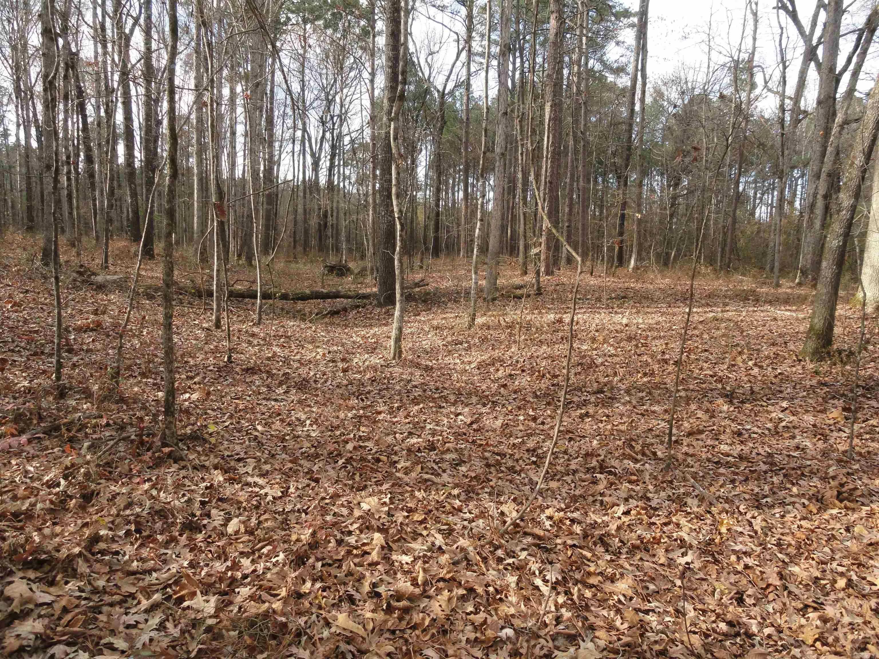 Property at 26020  Hensley - Image 25