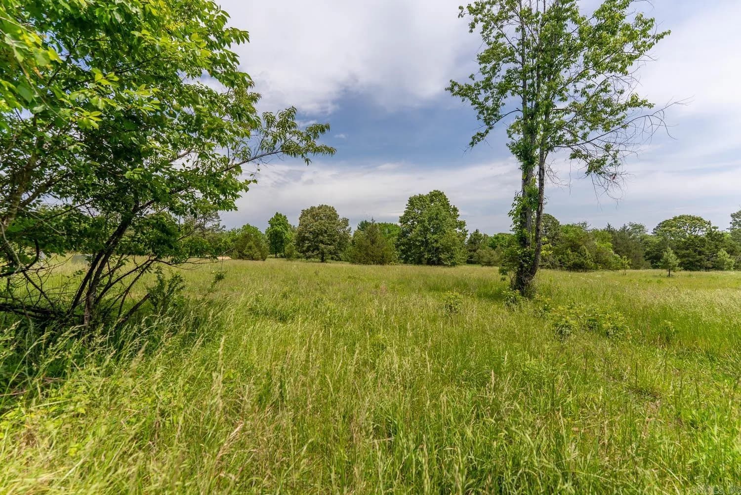 Property at 676  County road 403 - Image 27