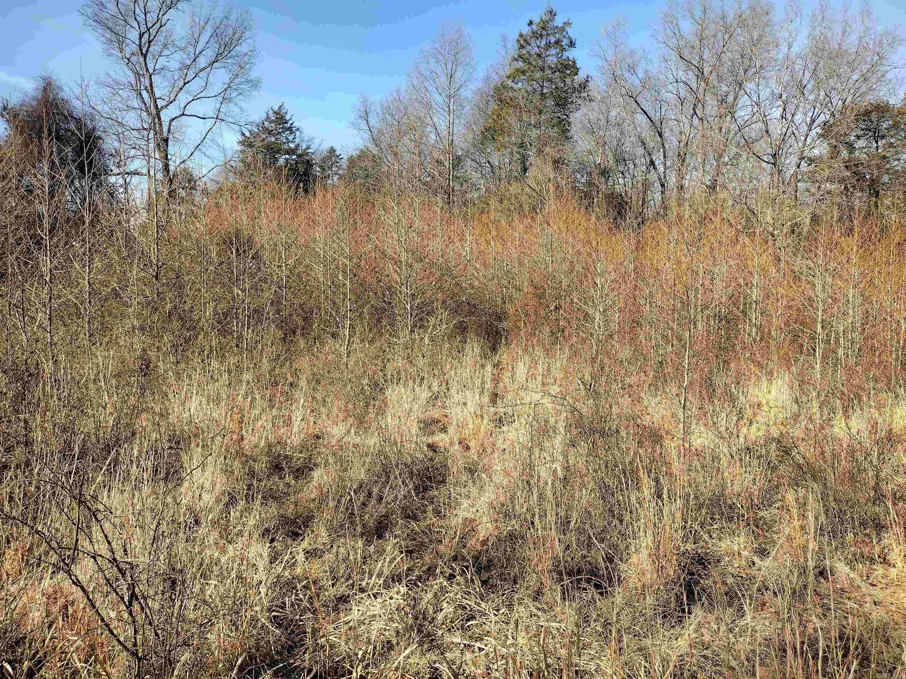 Property at tract 8  St james rd - Image 6