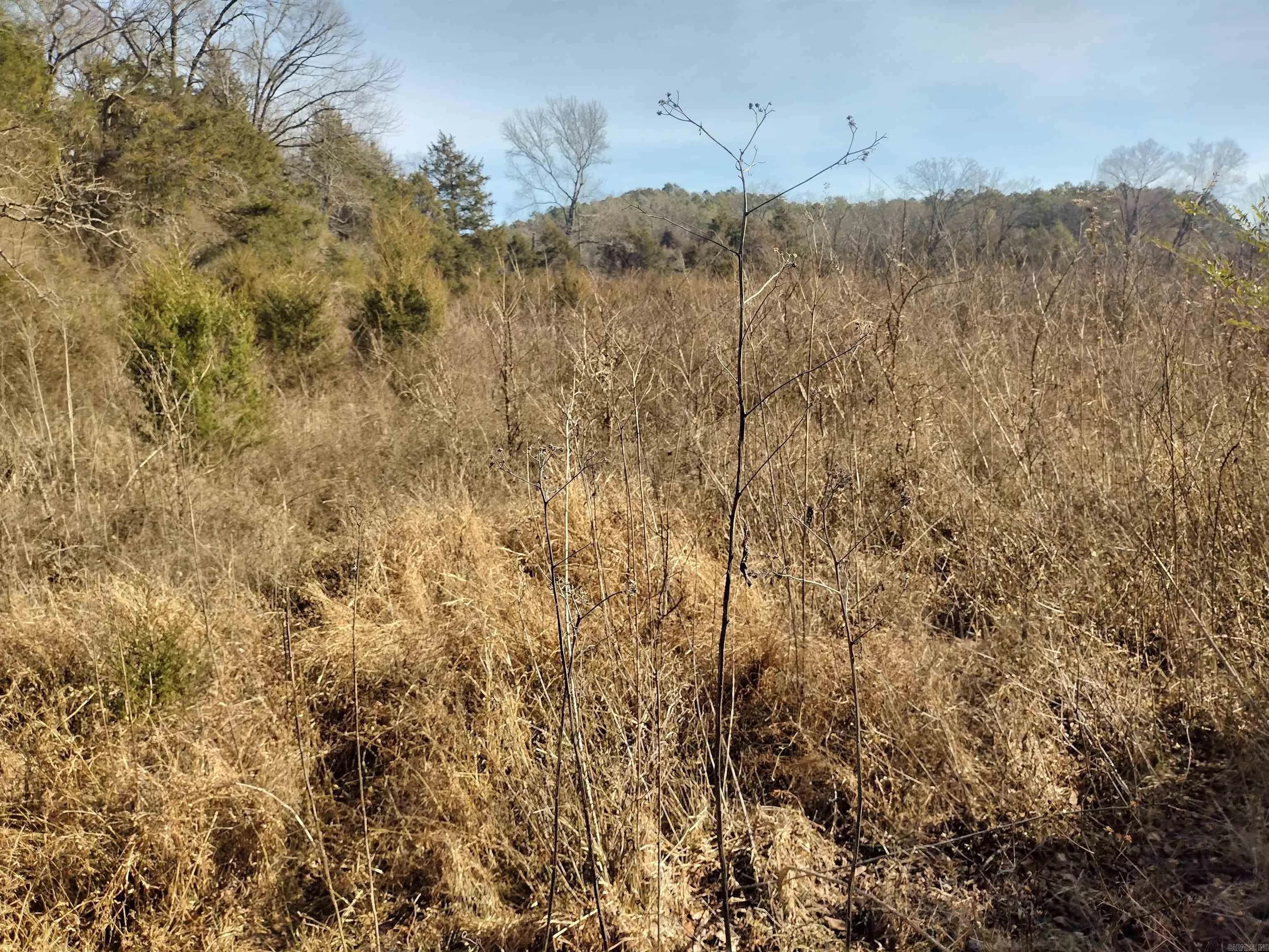 Property at tract 8  St james rd - Image 11