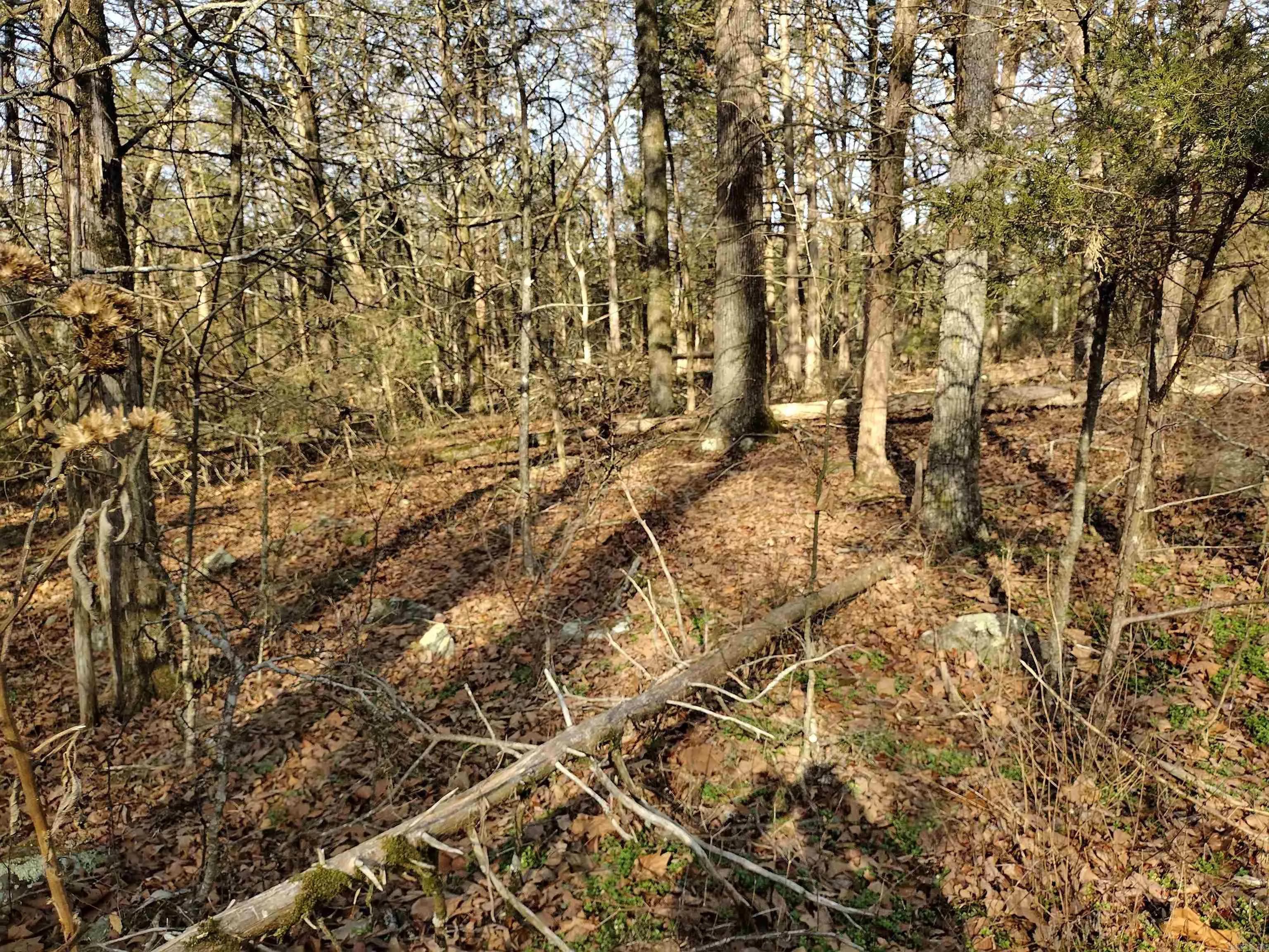 Property at tract 2  Hwy 14 - Image 29