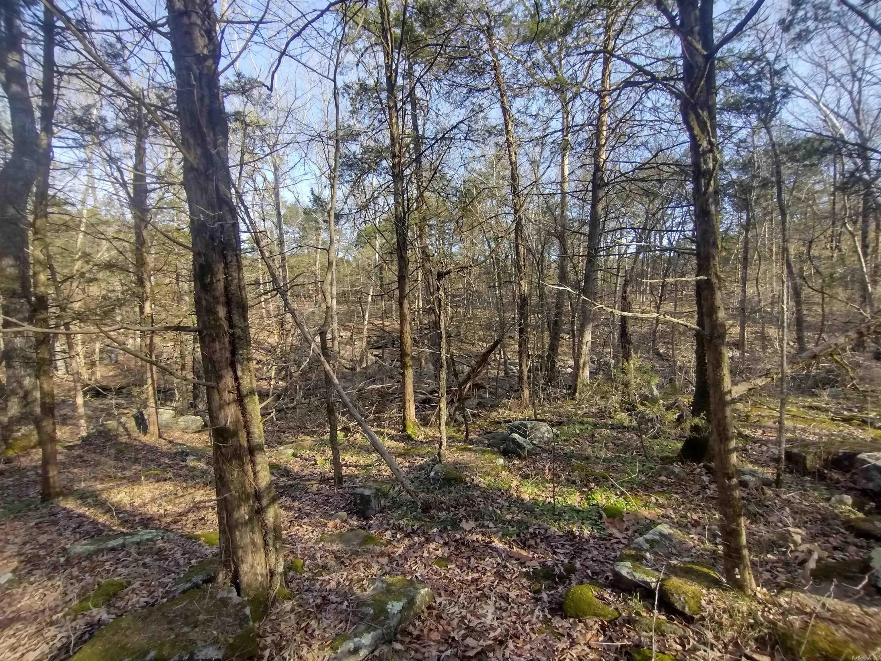 Property at Tract 1  Hwy 14 e - Image 18