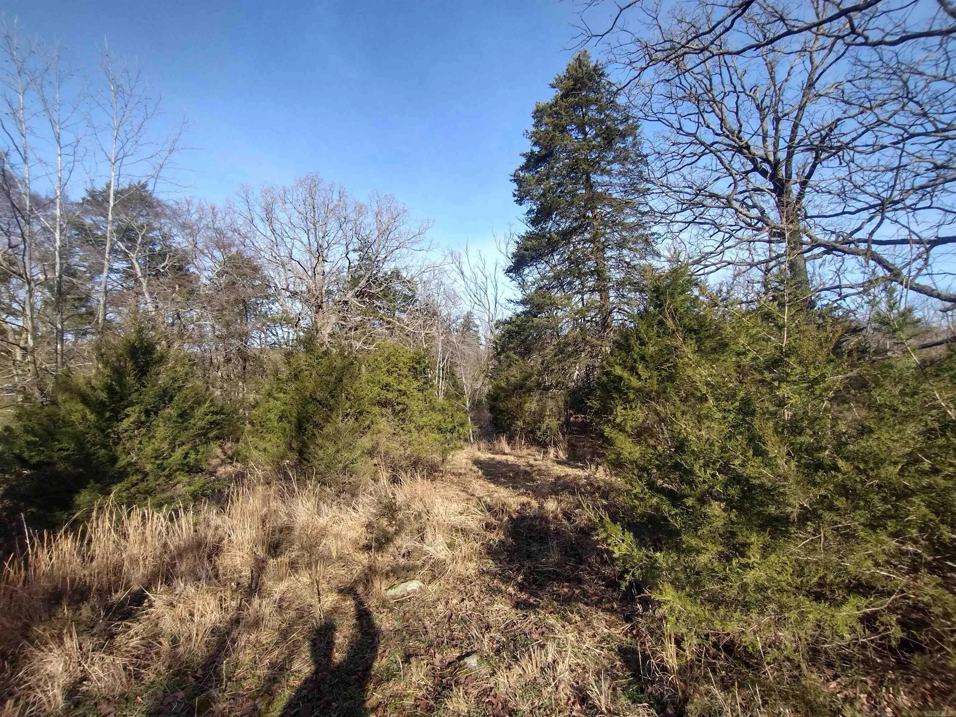 Property at Tract 1  Hwy 14 e - Image 9