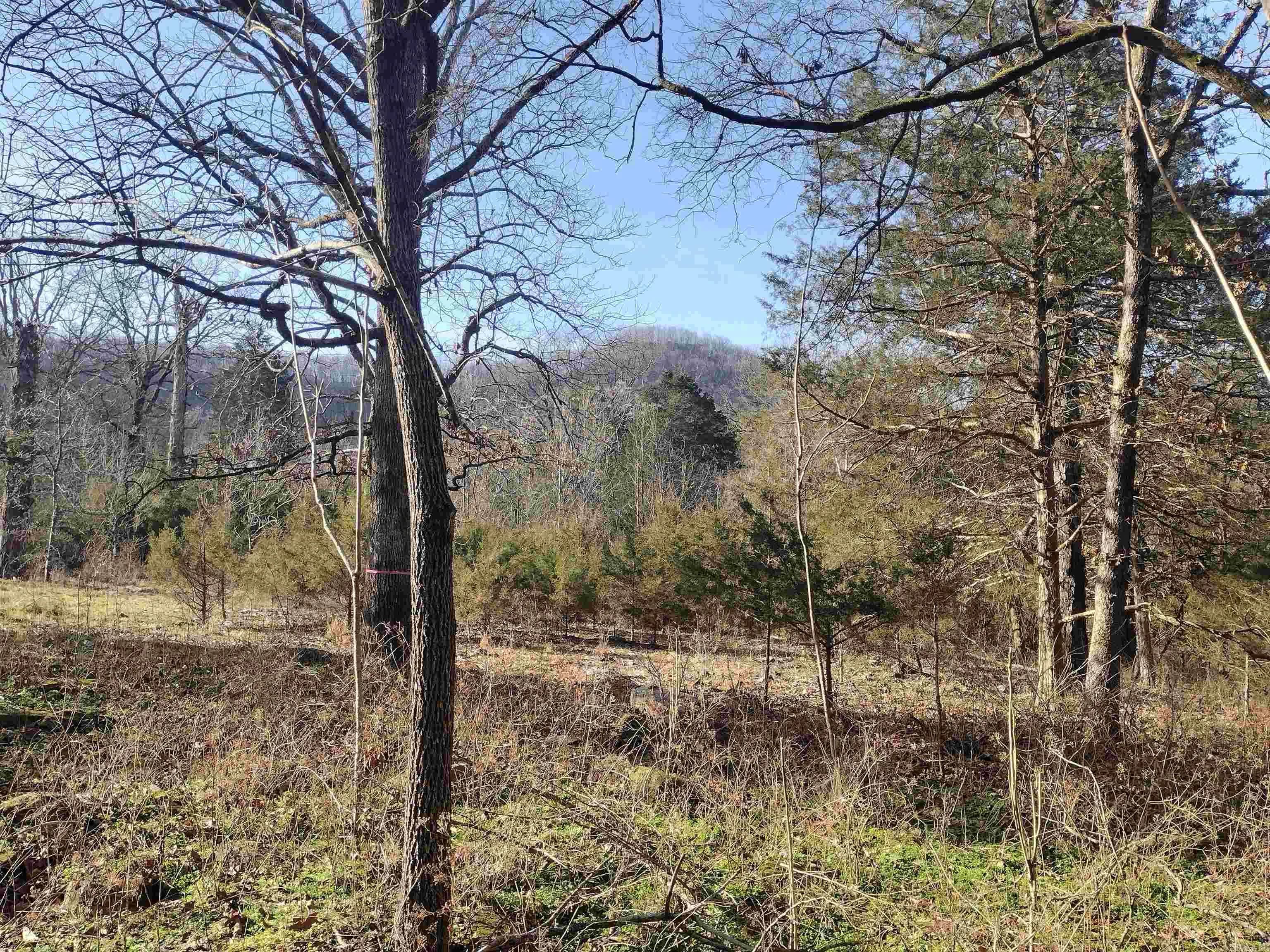 Property at Tract 1  Hwy 14 e - Image 16